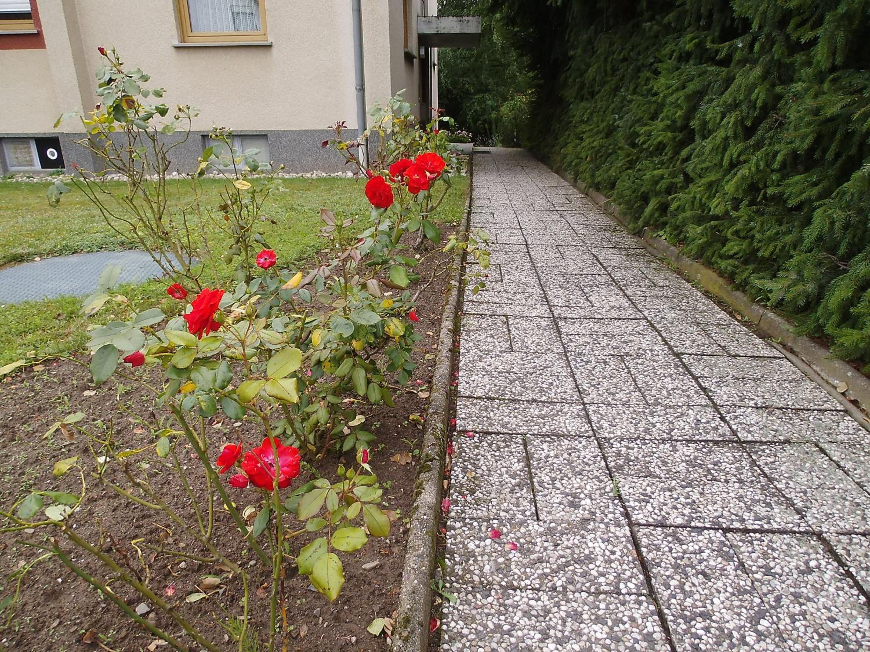 Photo 31