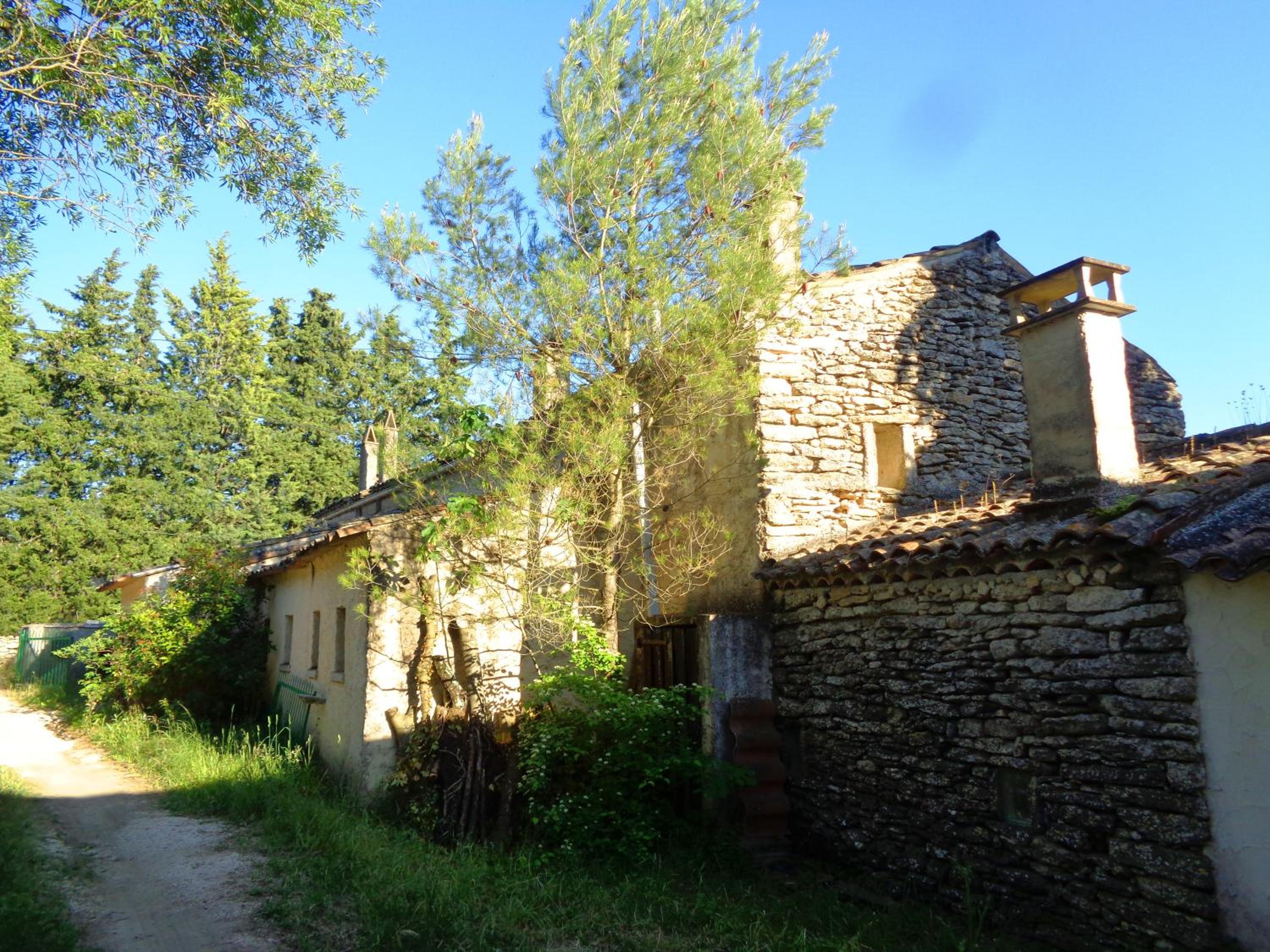 Photo 48