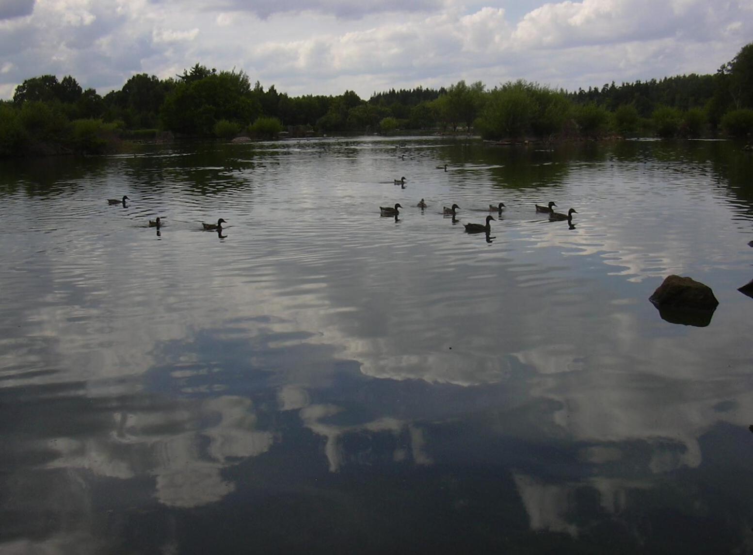 Photo 41