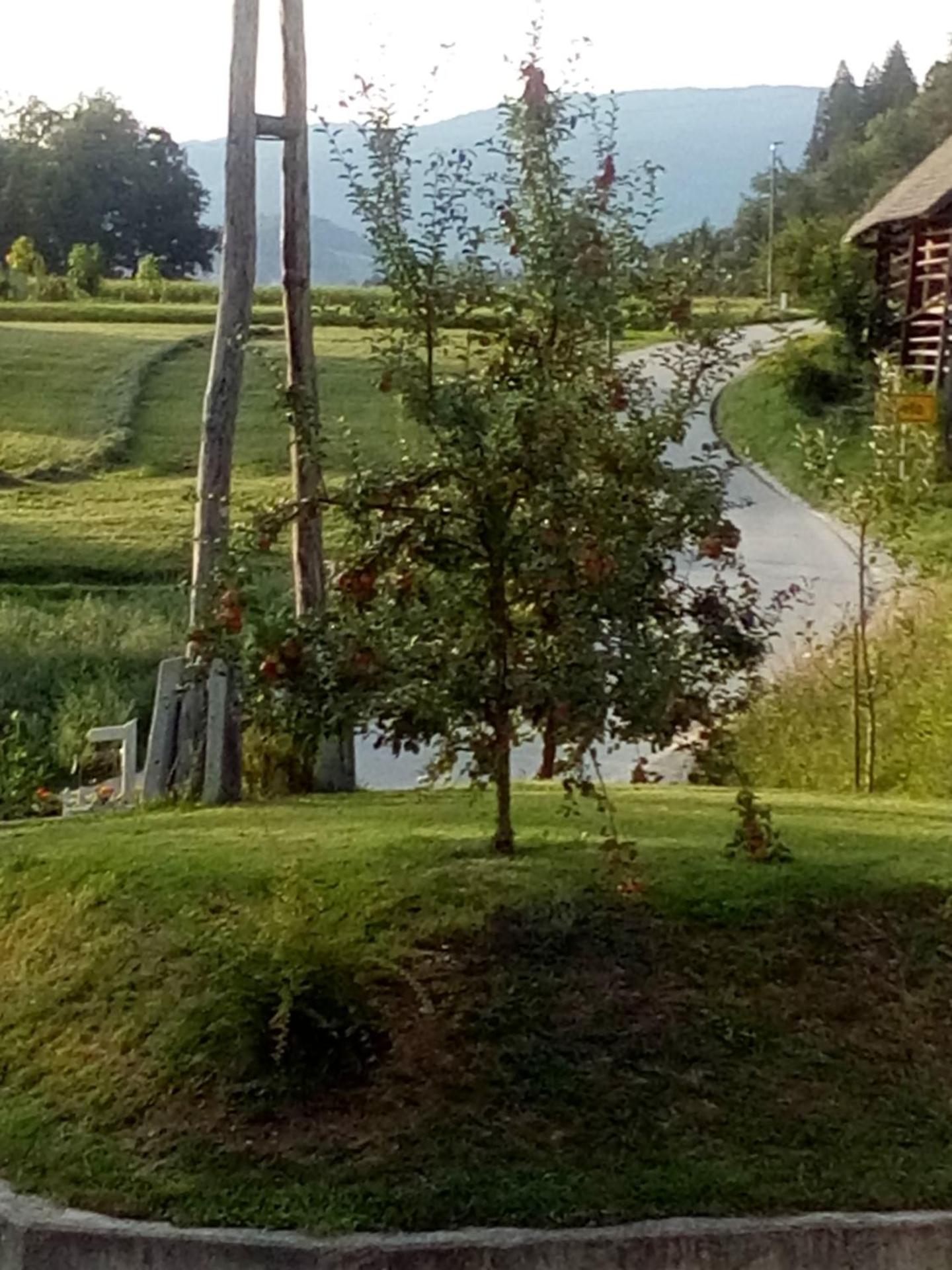 Photo 8