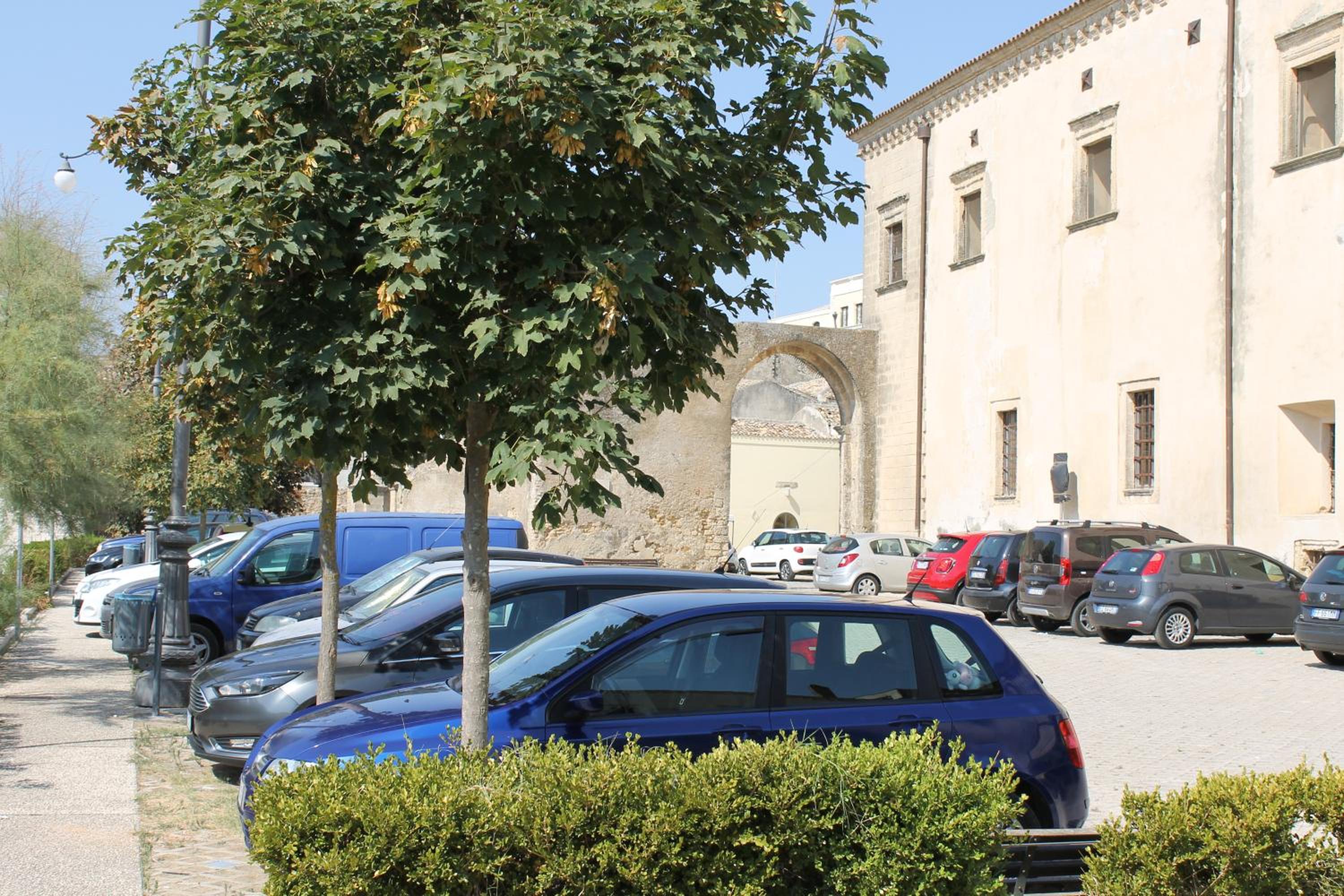 Photo 17