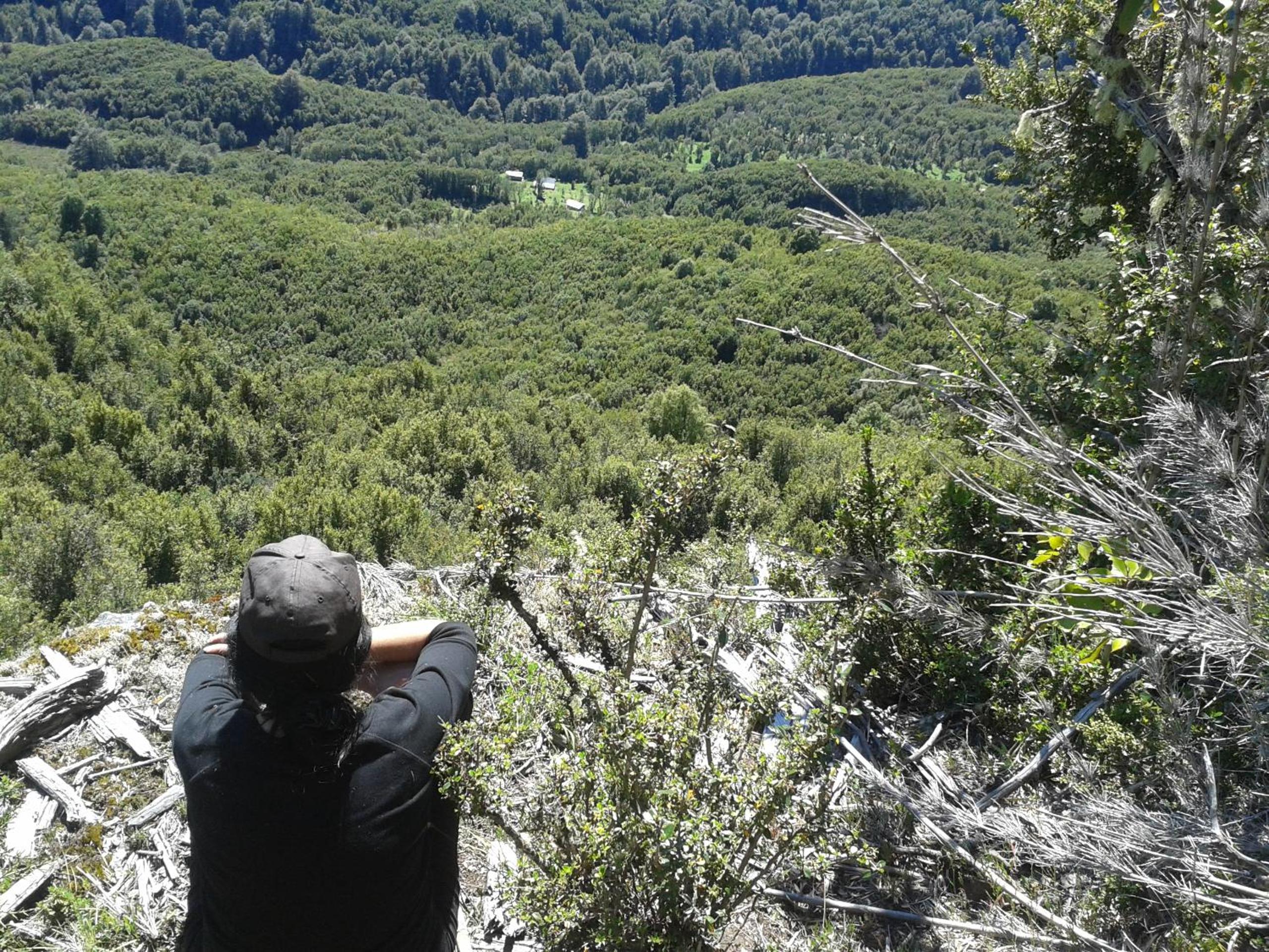 La Frontera Valle El Manso