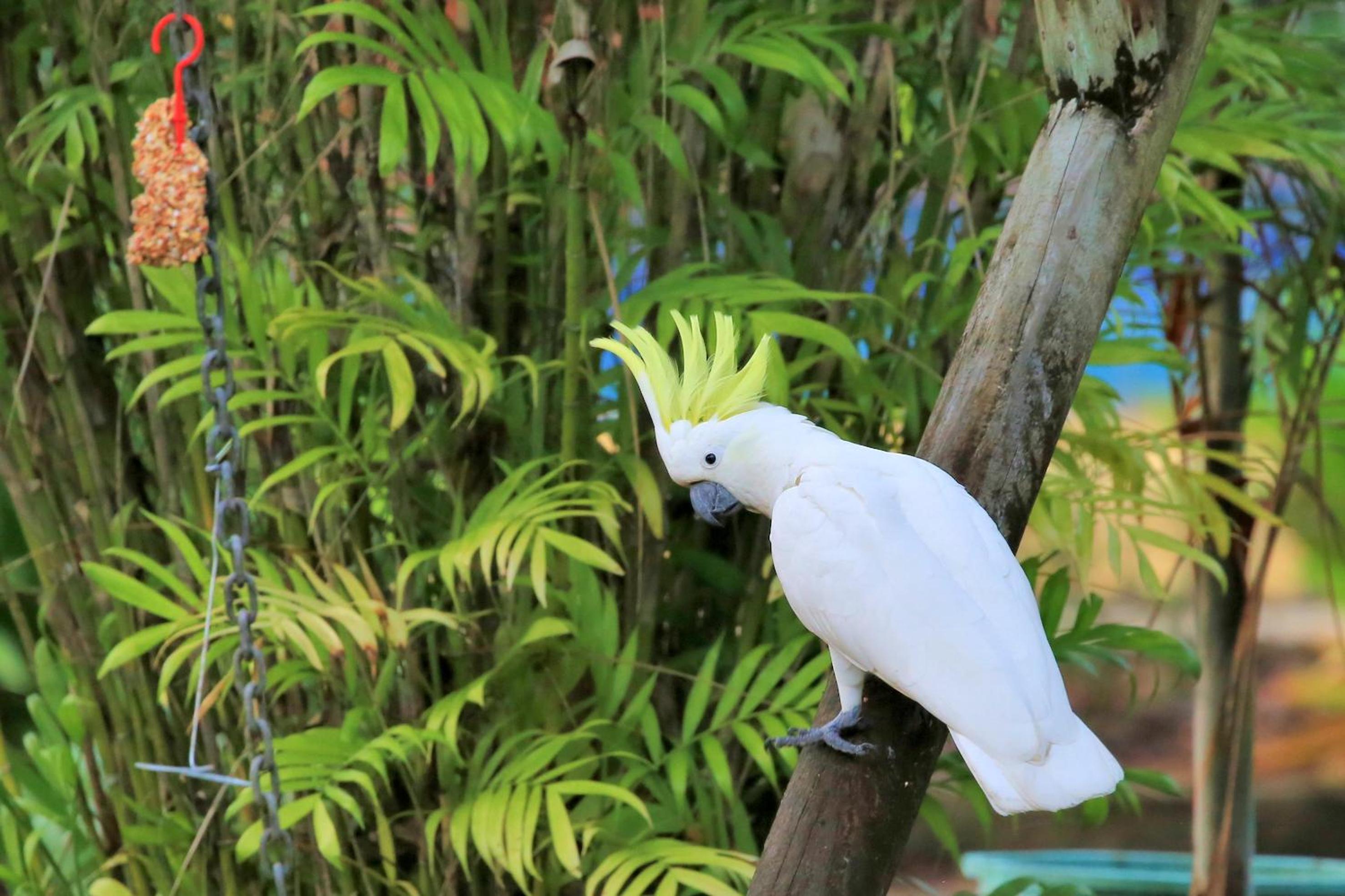 BIG4 Whitsunday Islands Holiday Park