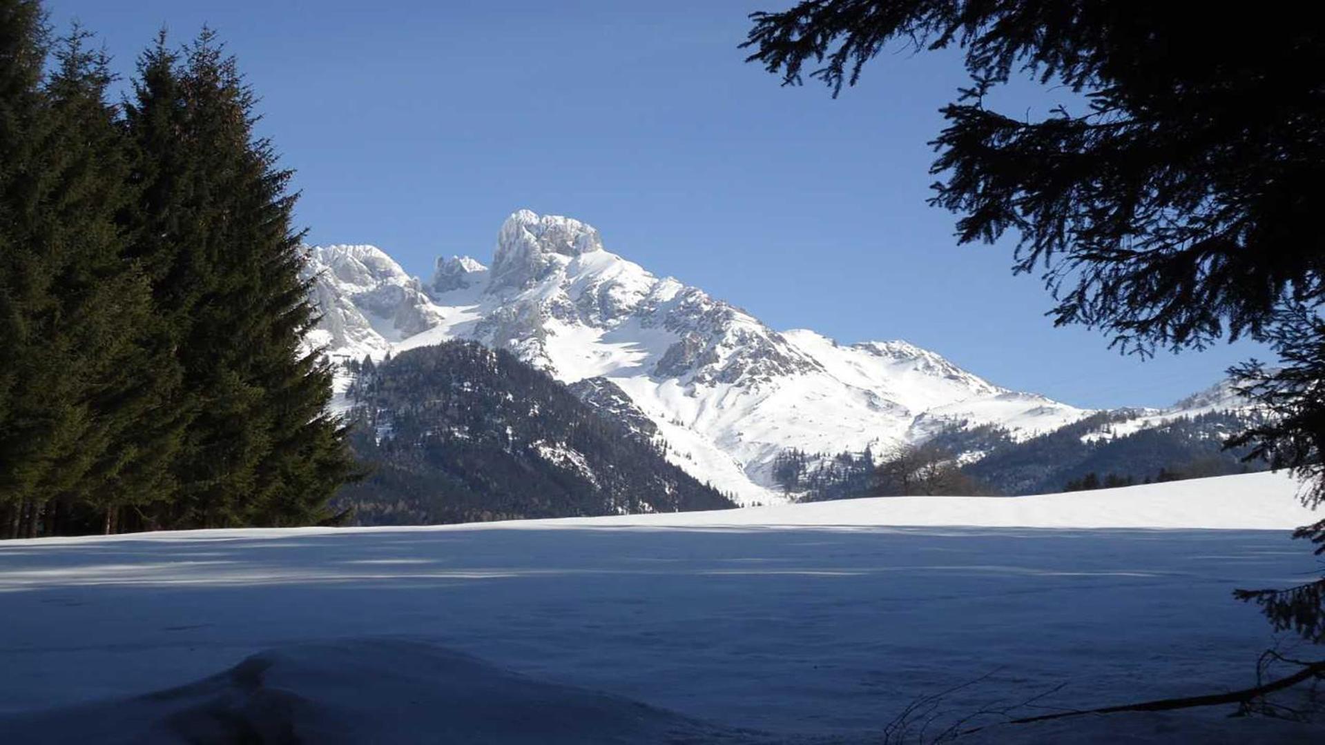 Berg Chalet