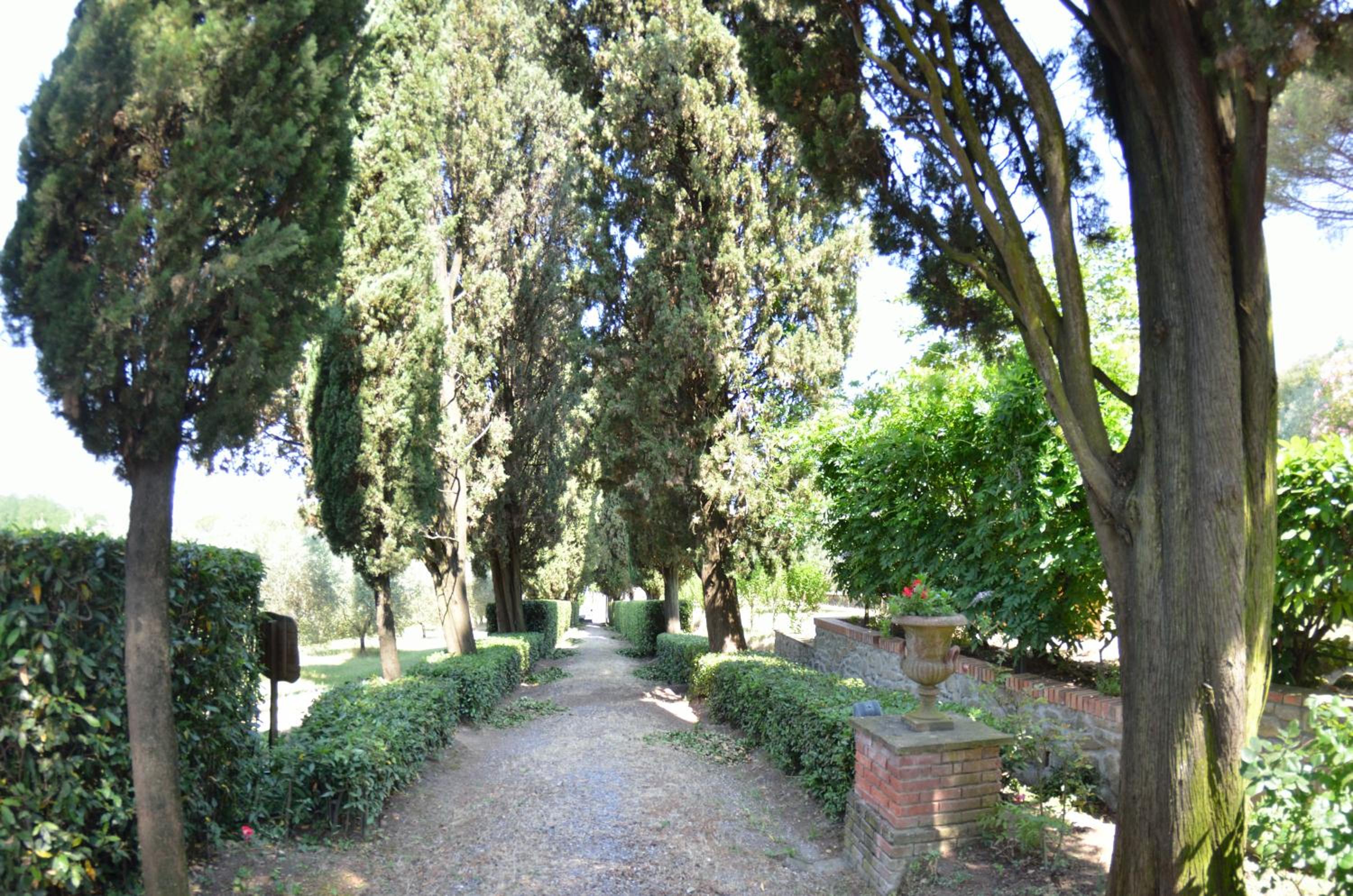 Photo 43