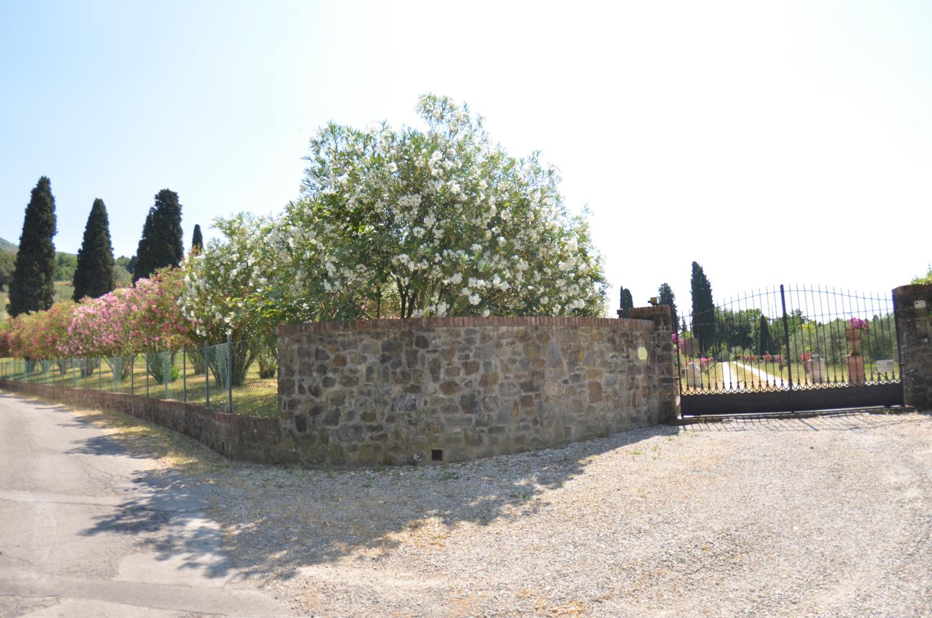 Photo 49