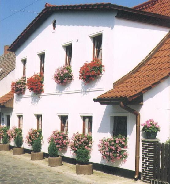 Ferienwohnungen Familie Daehn view 3