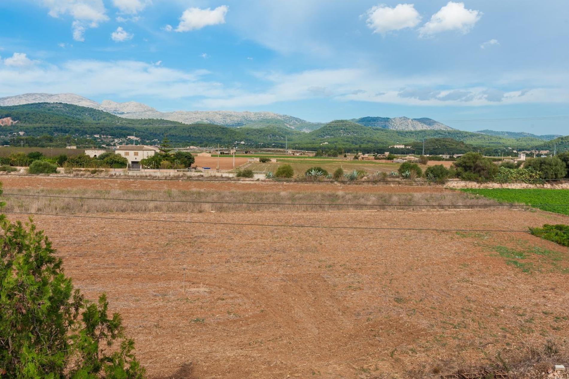Son Sabater (Es Moli Nou)