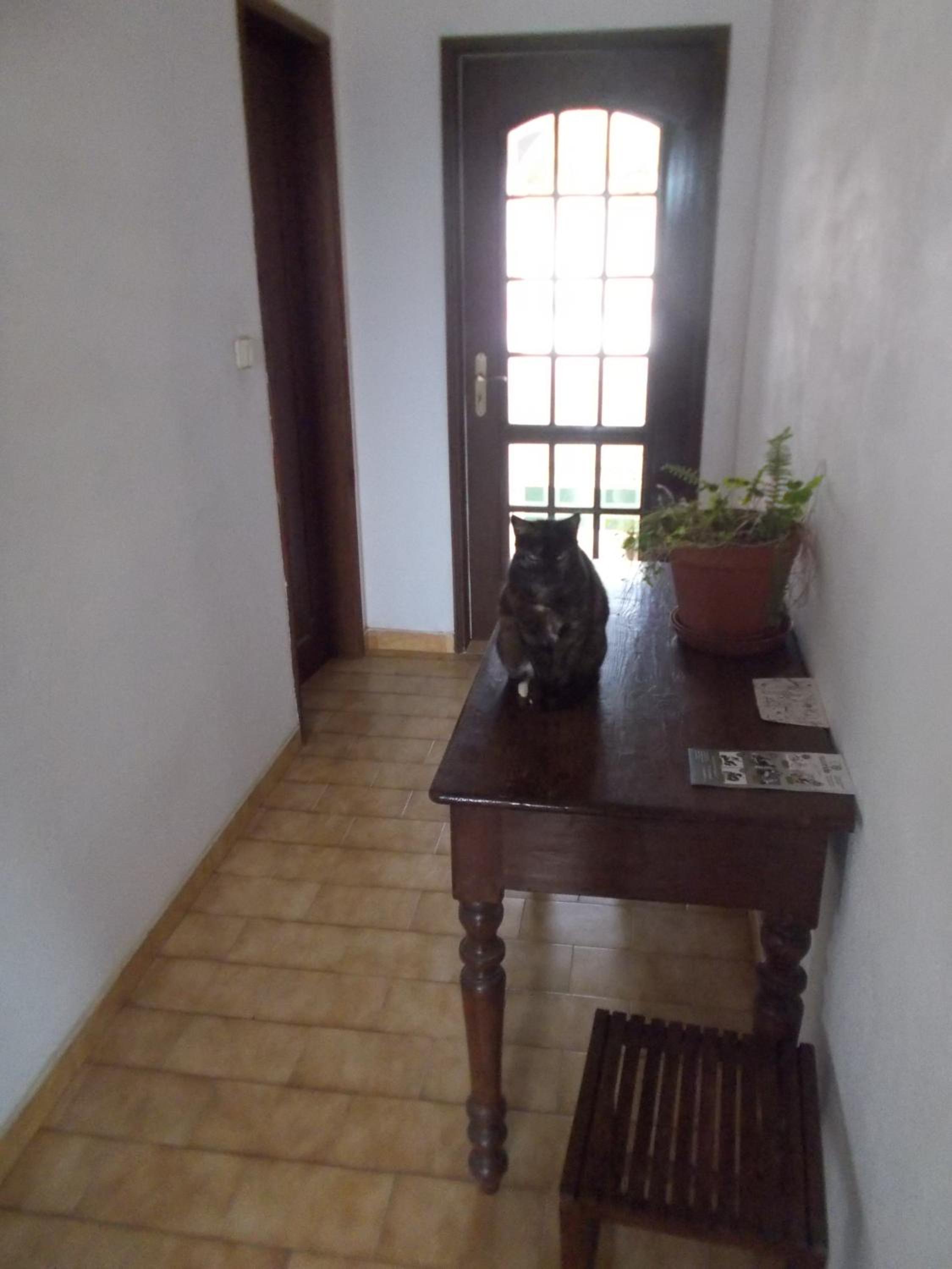 Photo 34