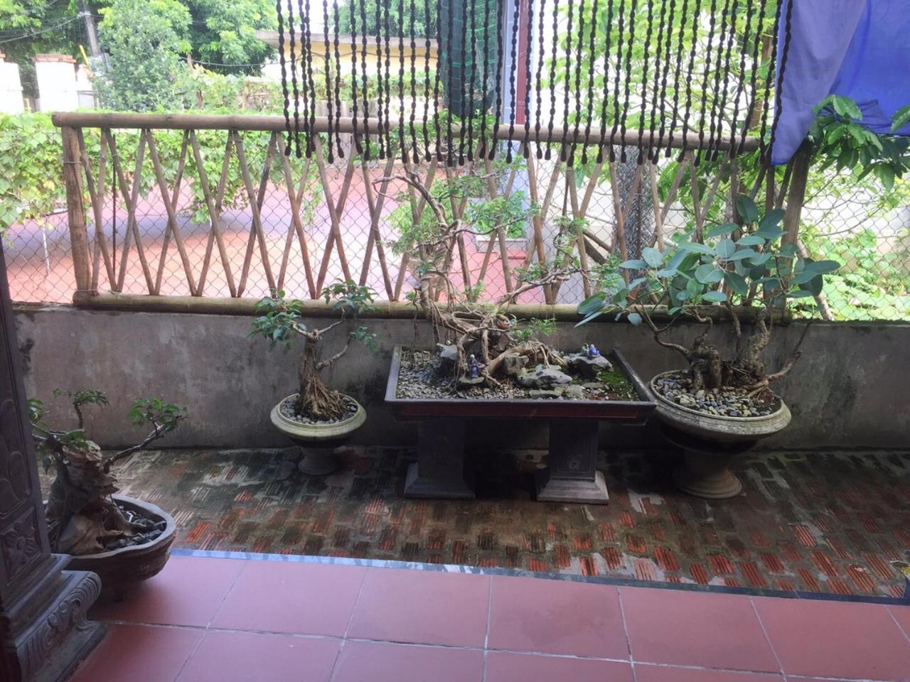 Hung Anh Homestay