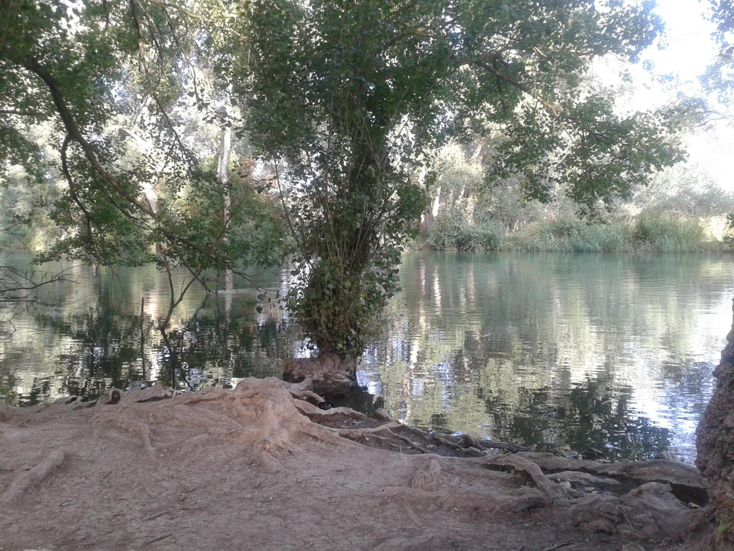 Photo 40