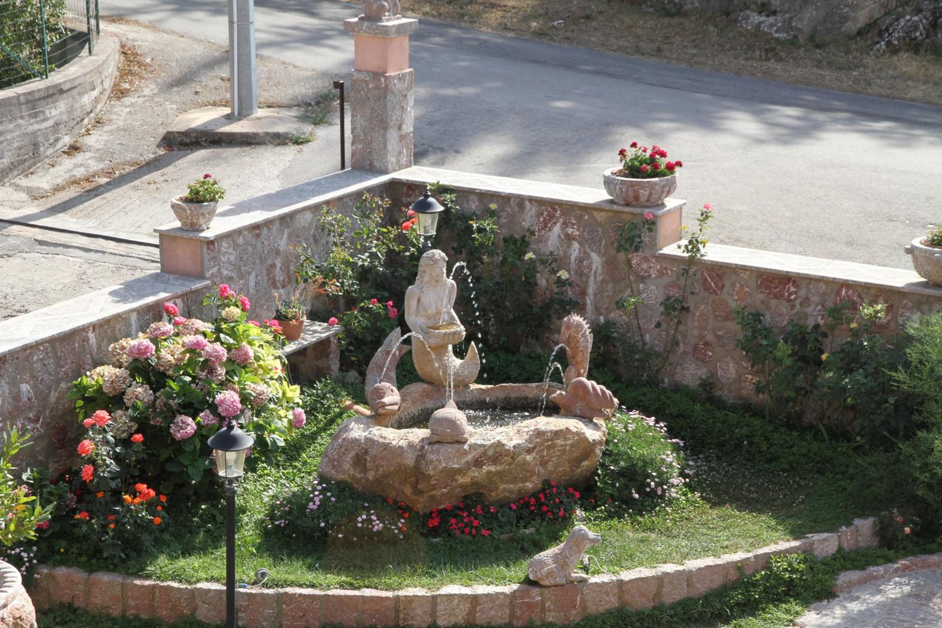 Photo 8