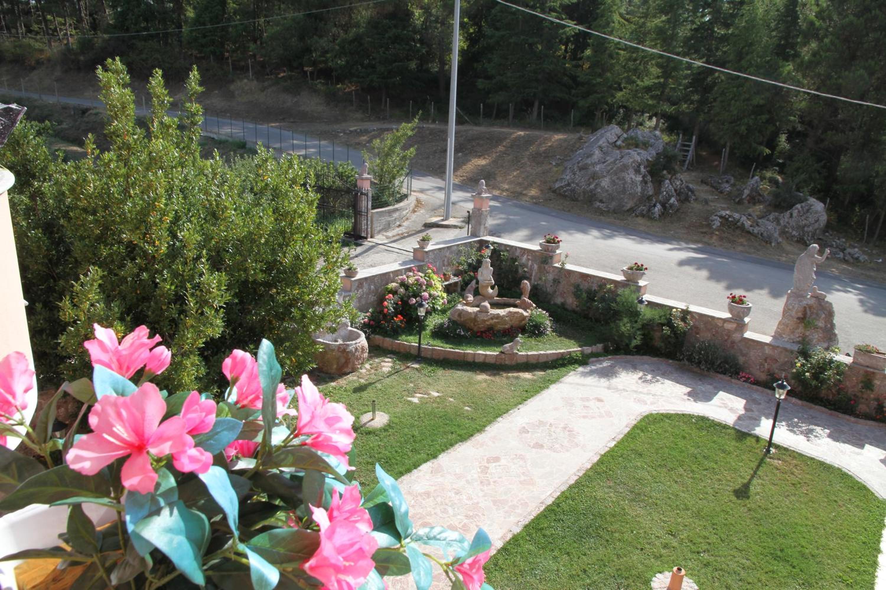 Photo 12