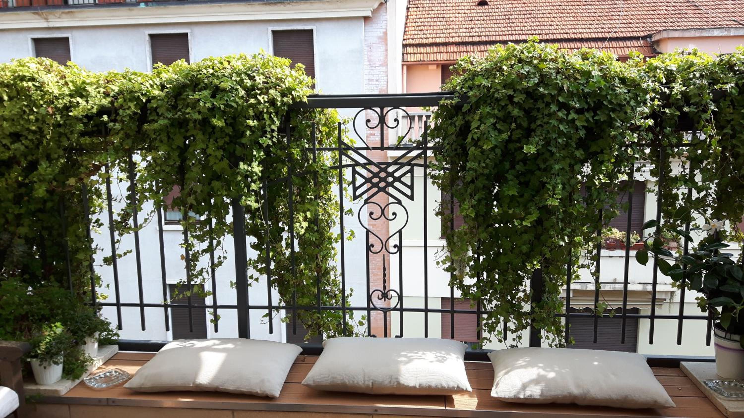Bronzino House