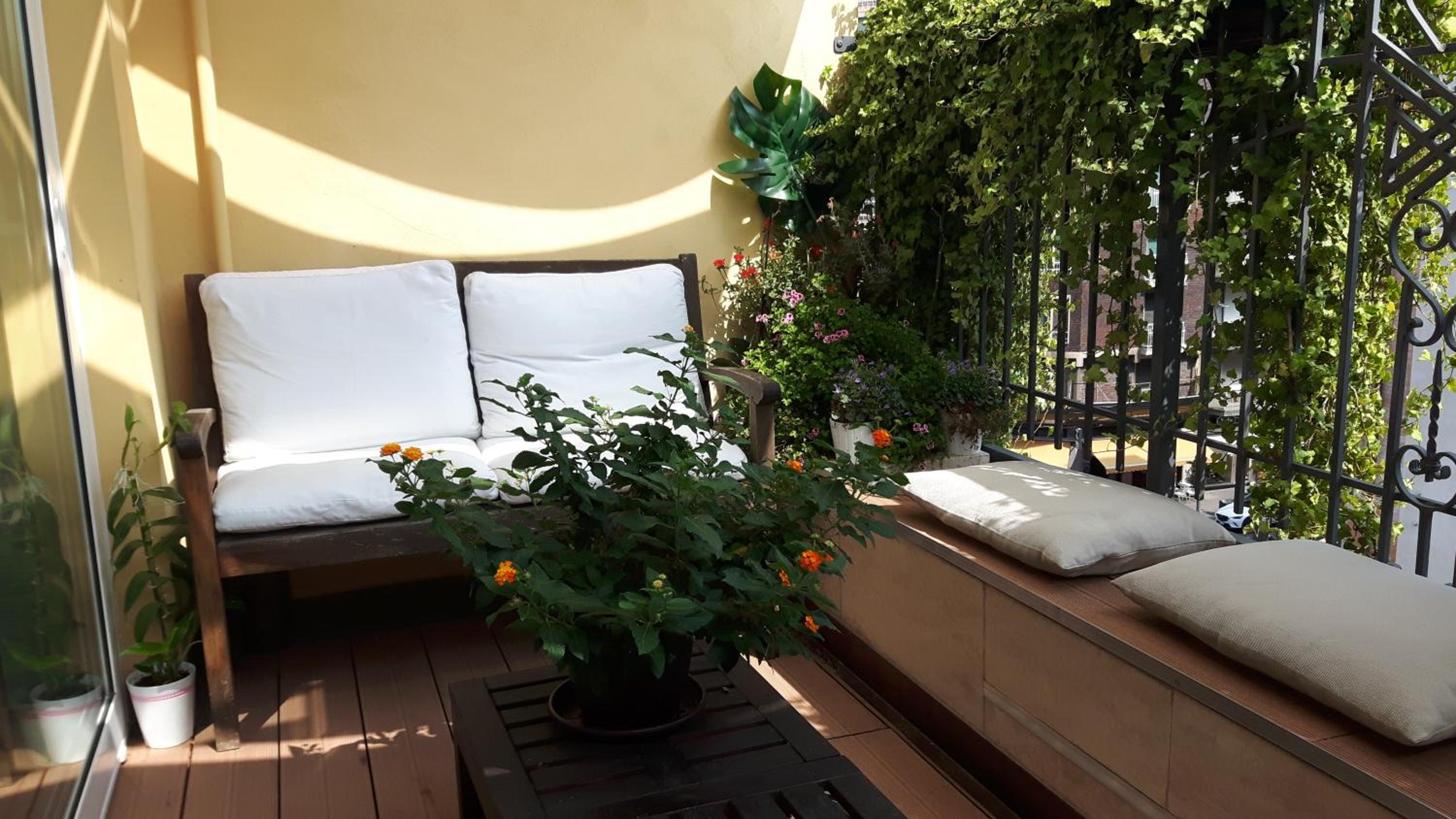 Bronzino House