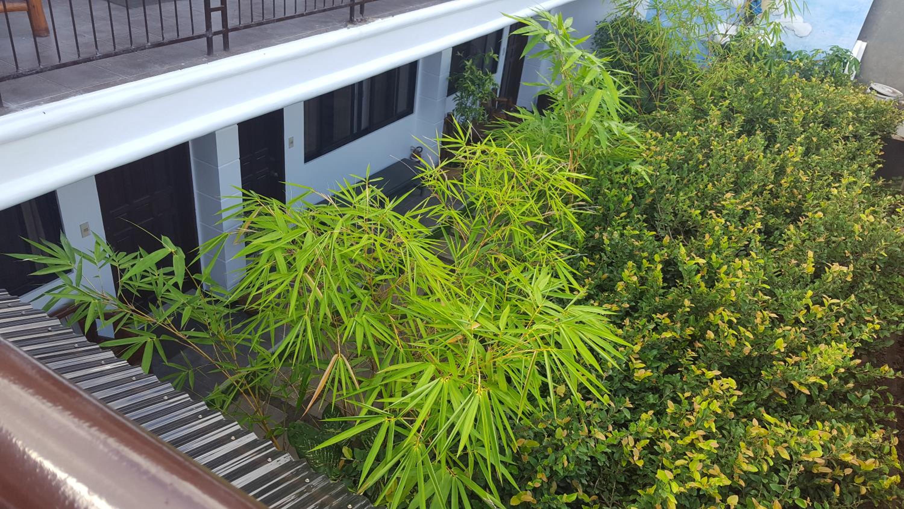 Residencia Lourdes view 5