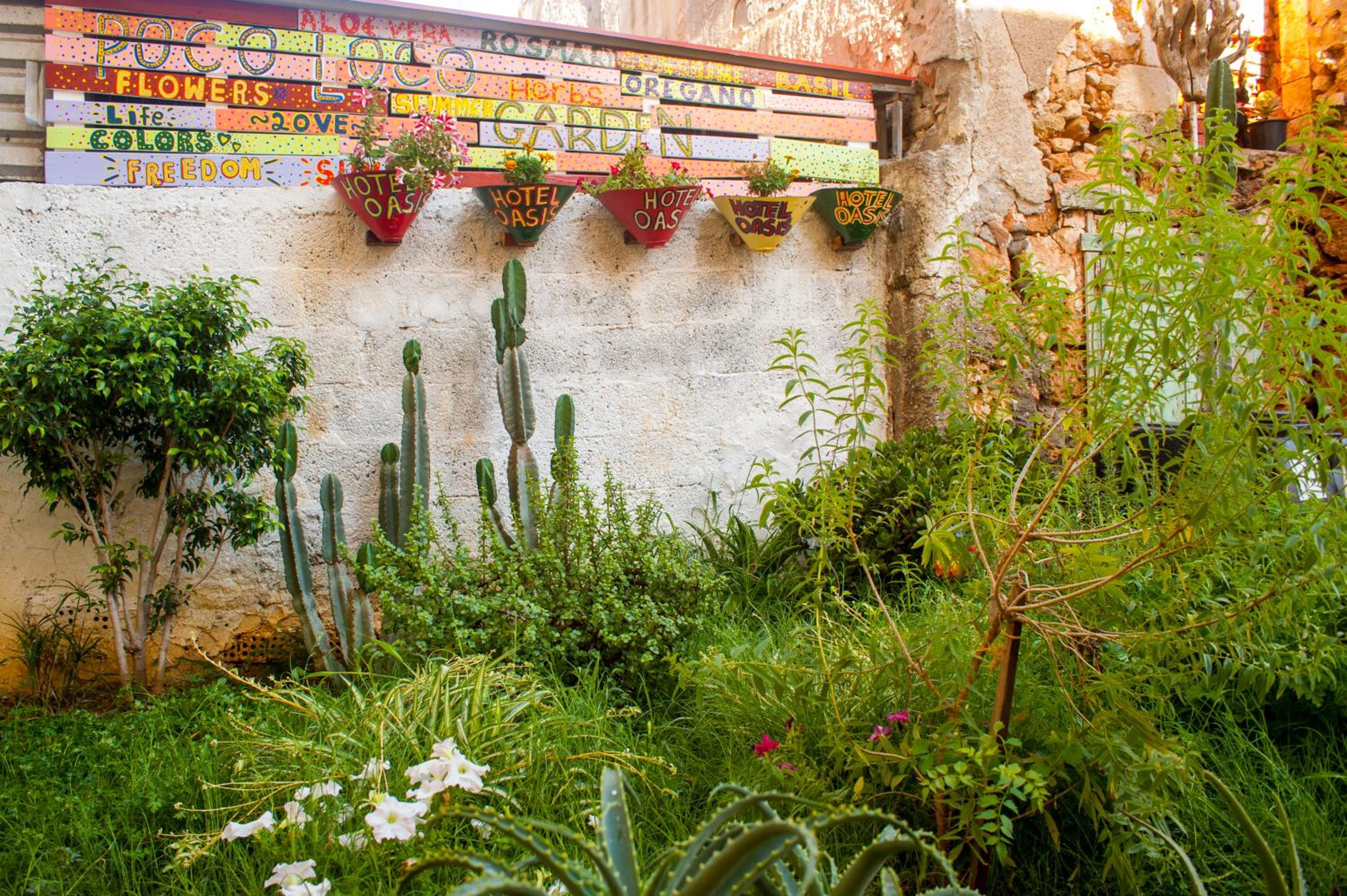 Poco Loco Bed & Breakfast