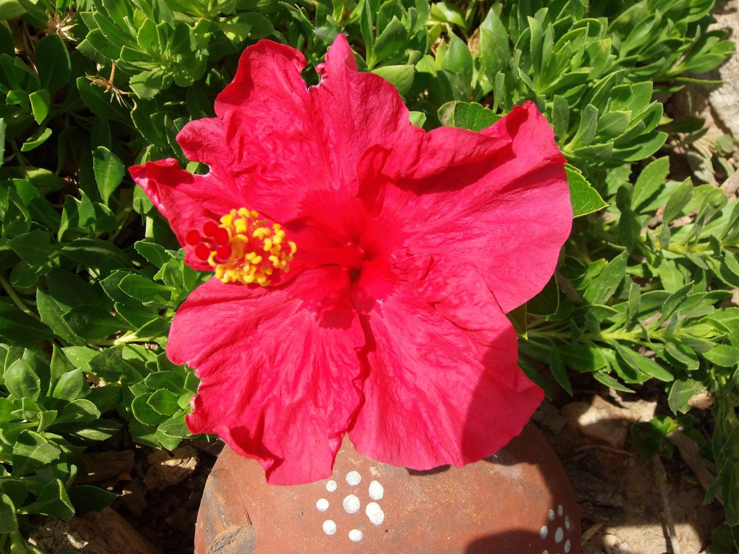 Photo 26