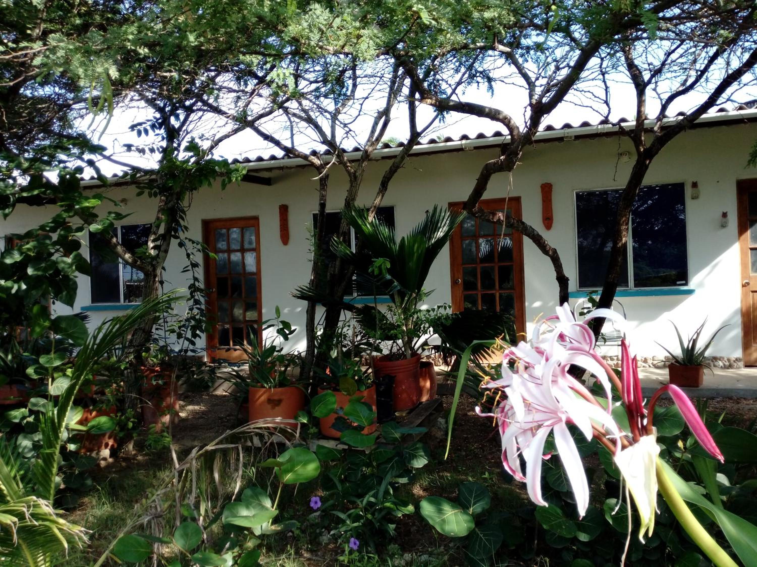 Galerazambahostal