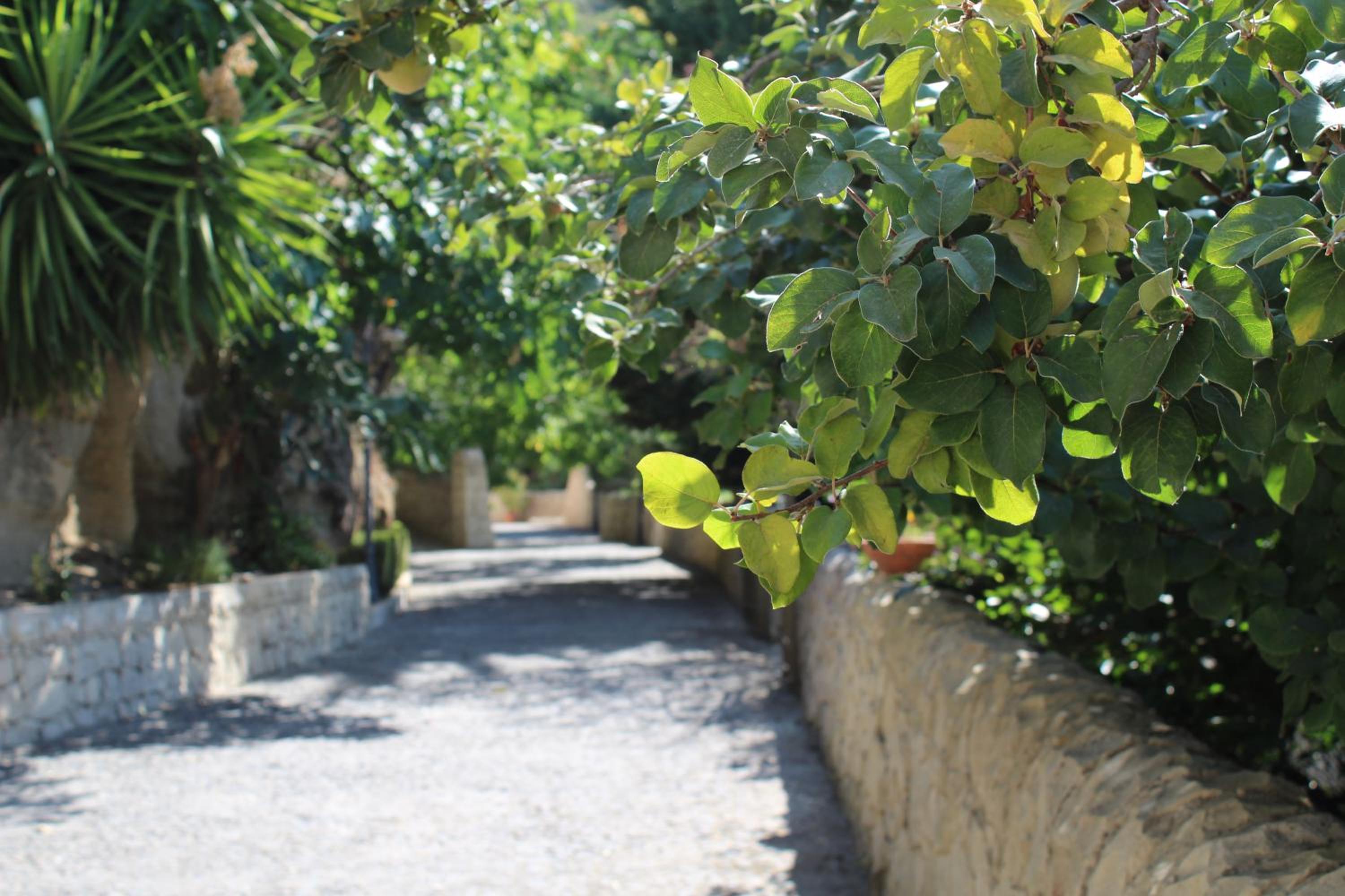 B&B Agriturismo 'A Cunziria