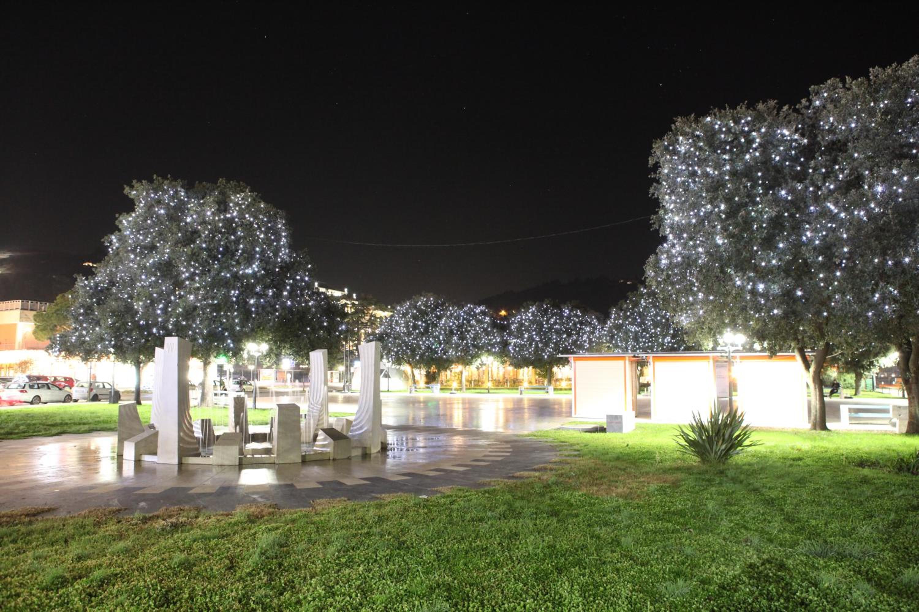 Photo 41