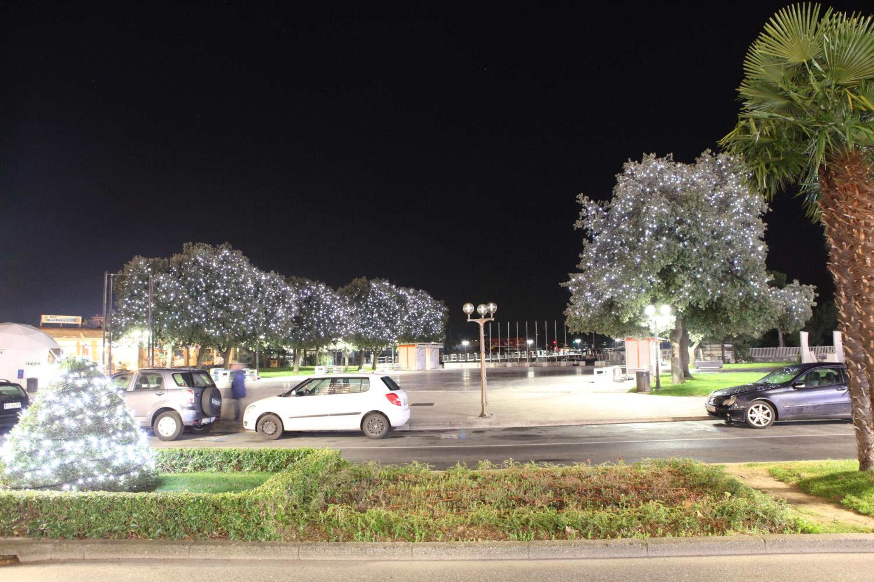 Photo 42