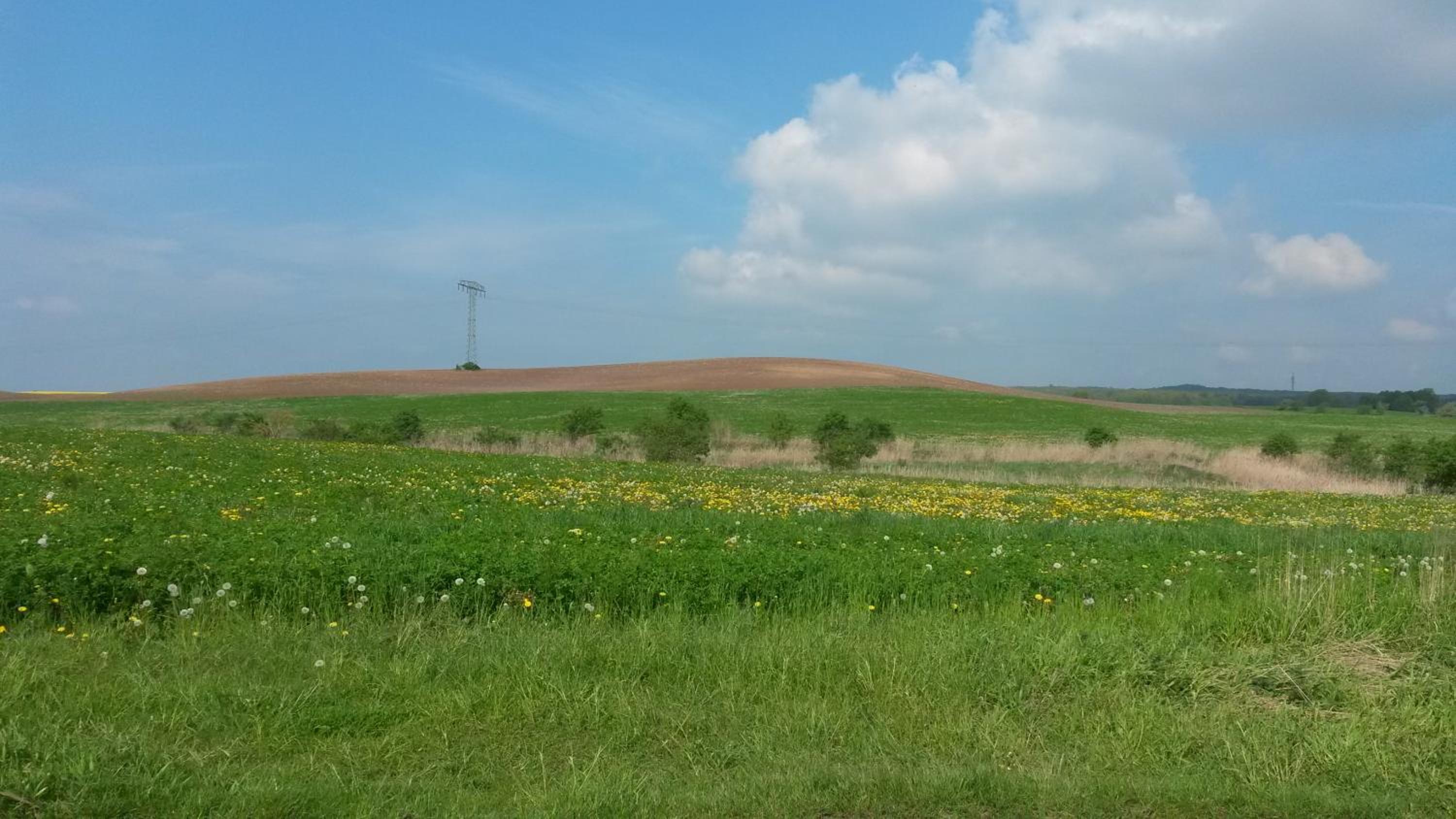 Ferienwohnung Wroblewsky