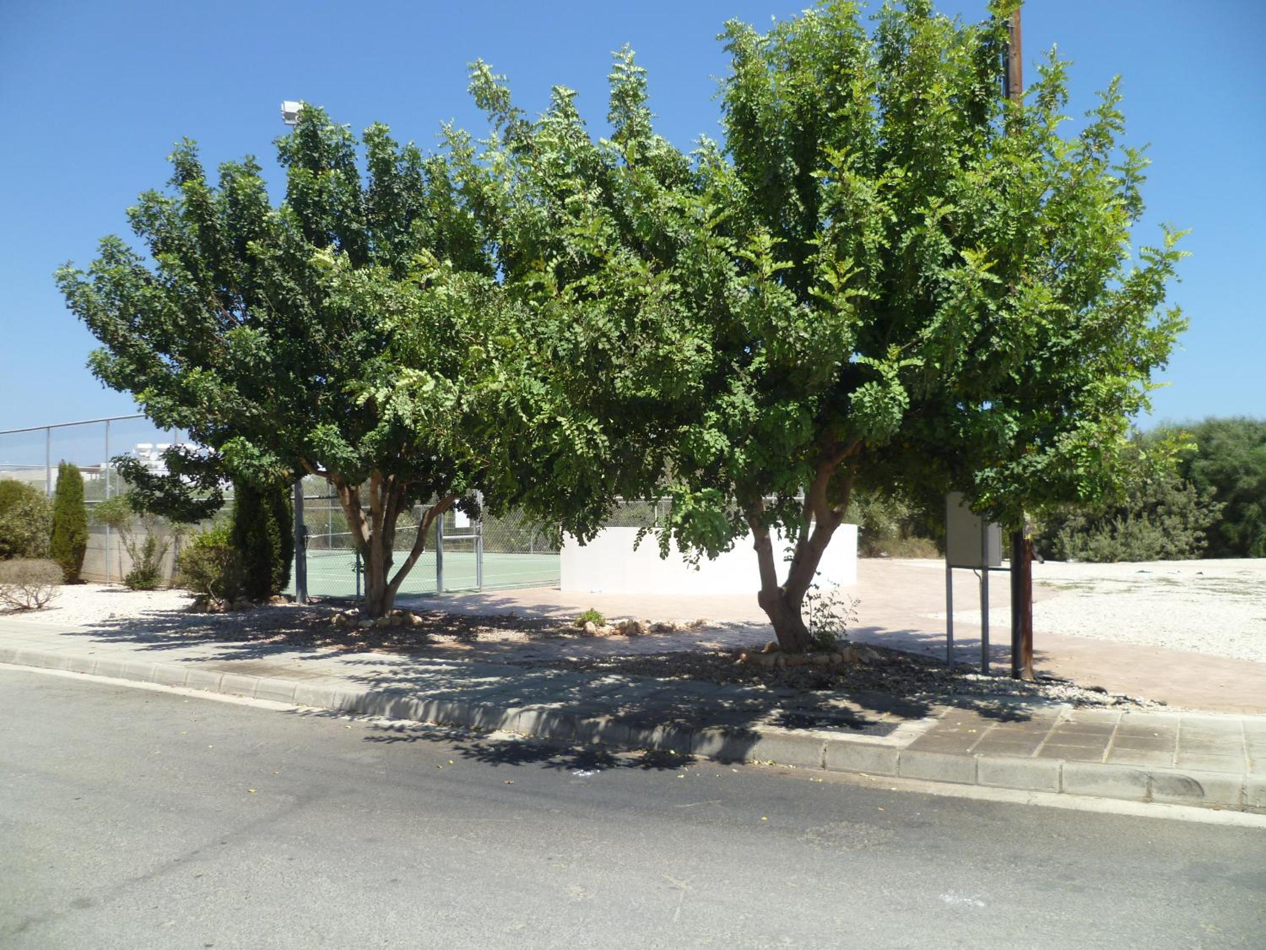Great Kings Resort Apartment 10 Block 19