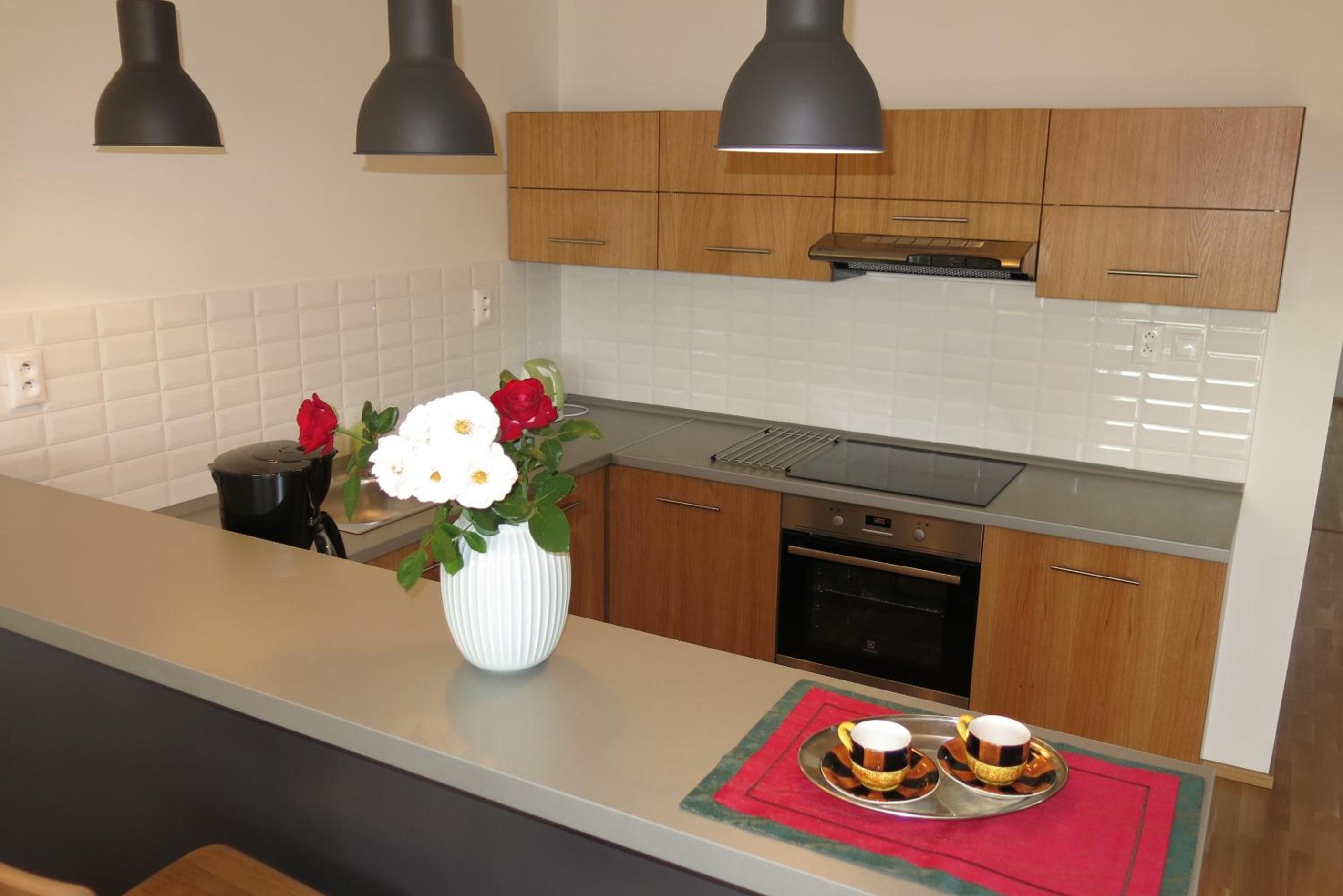 Scandic apartmany view 4