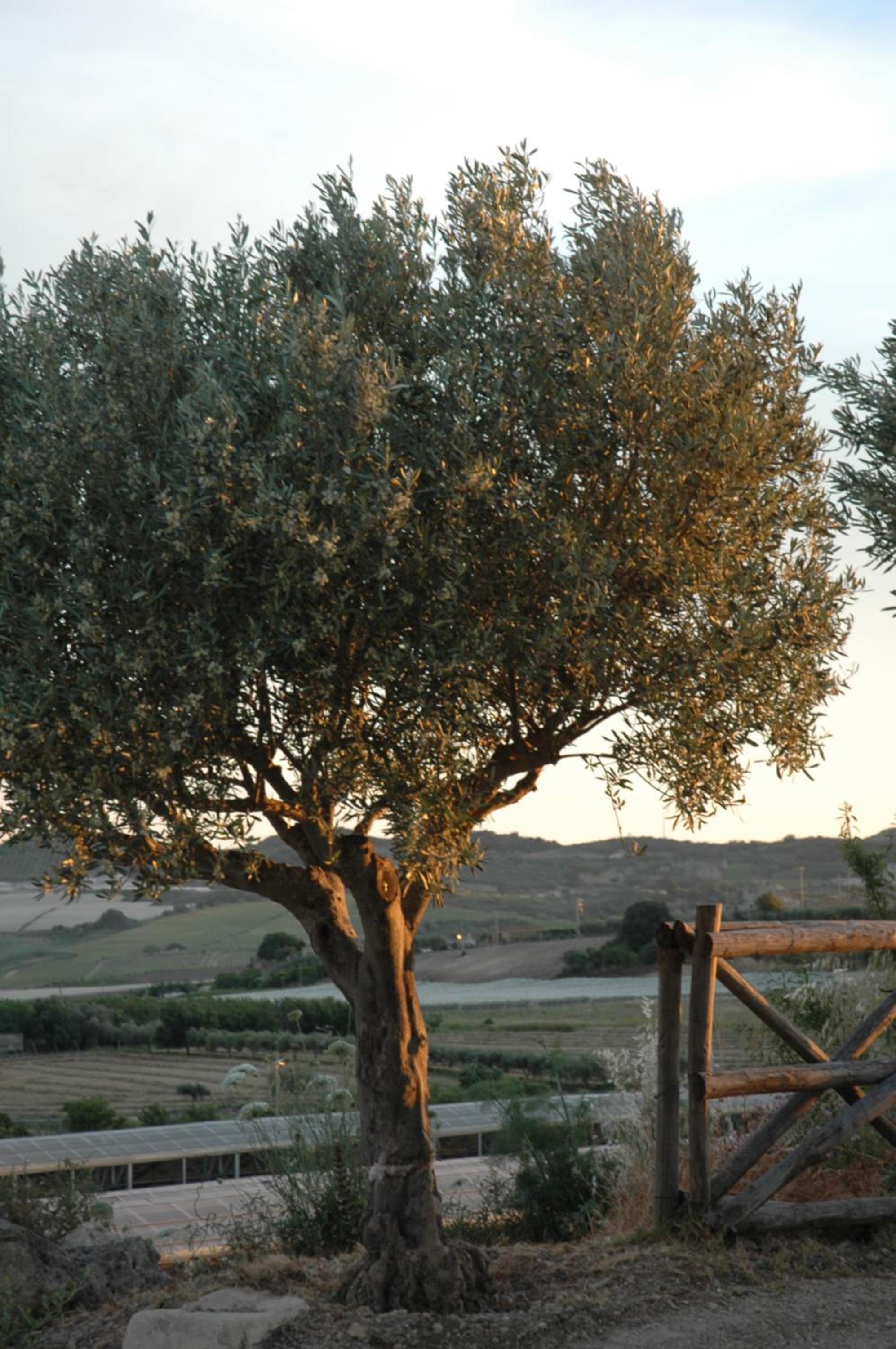Agriturismo Baglio San Nicola