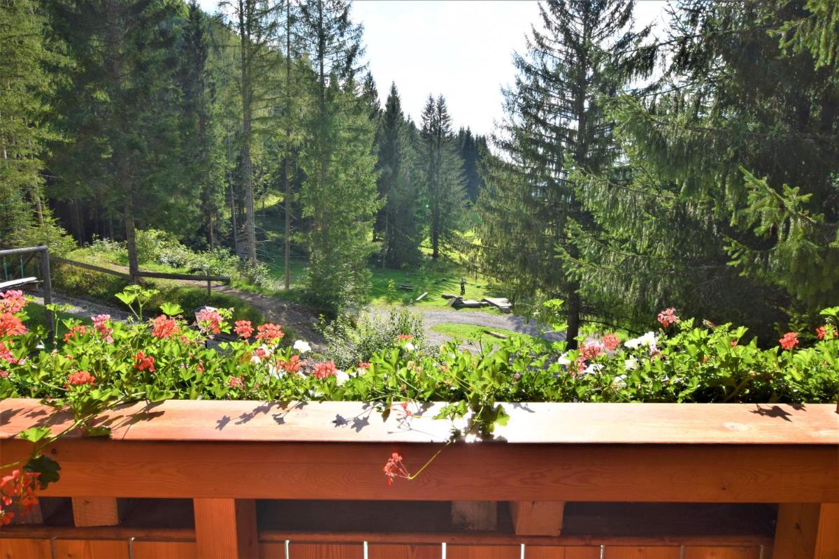 Ferienhaus Dirnbacher Hütte
