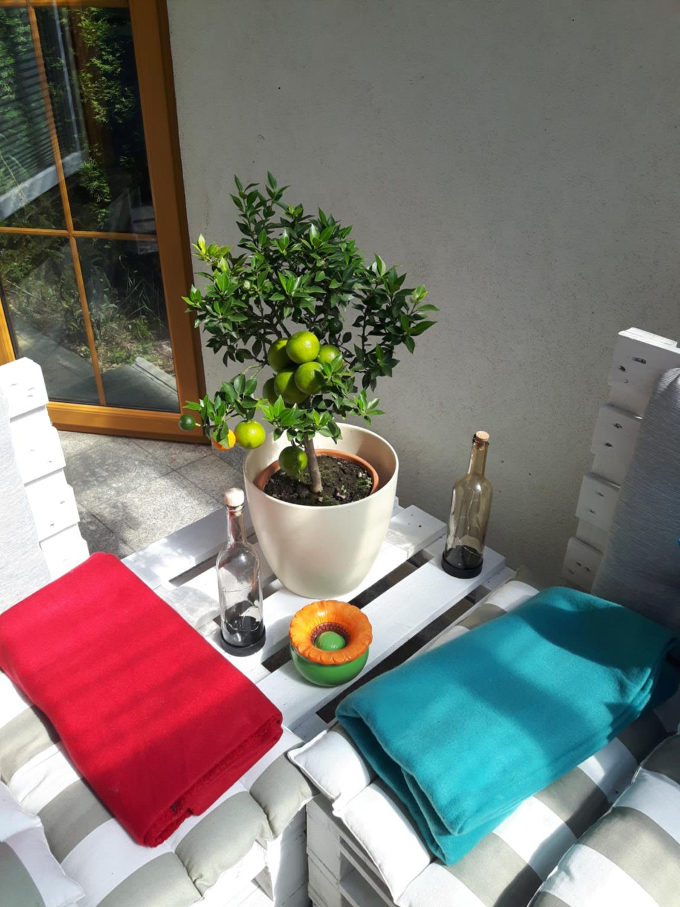 Haus Elisabeth view 4
