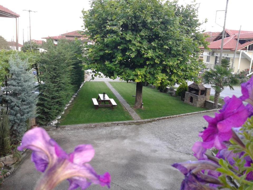 Photo 34