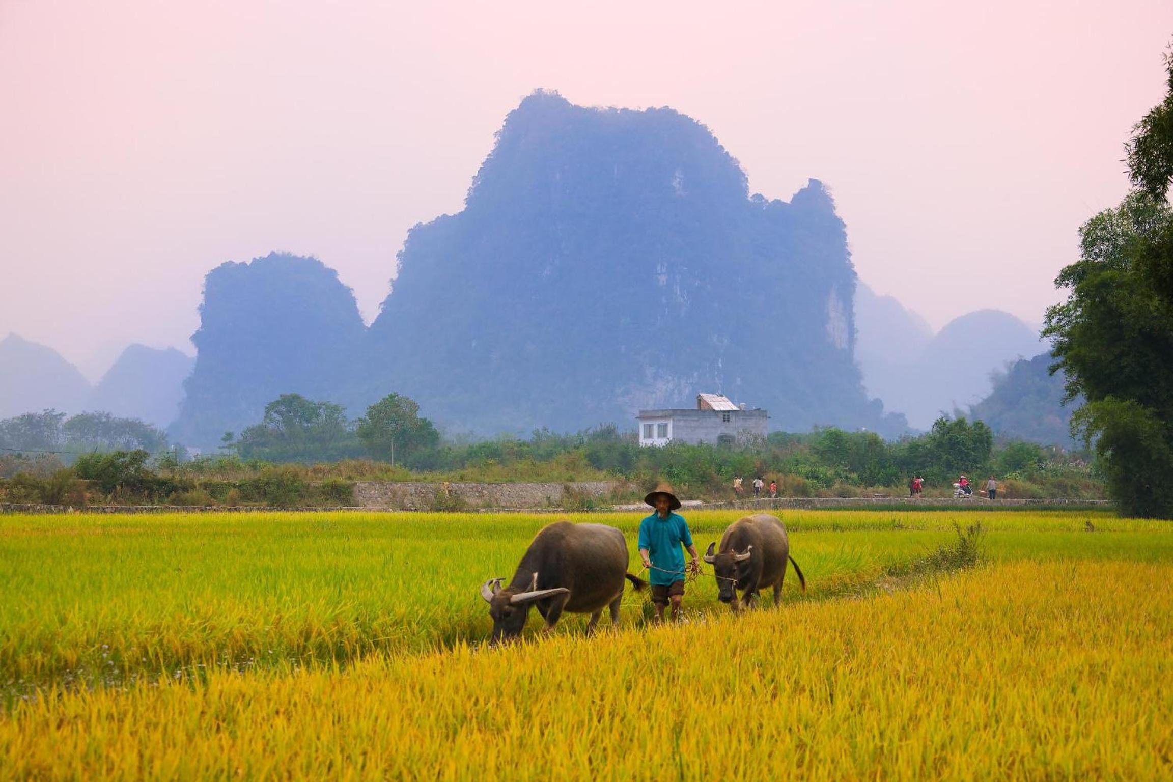 Li River Gallery Lodge