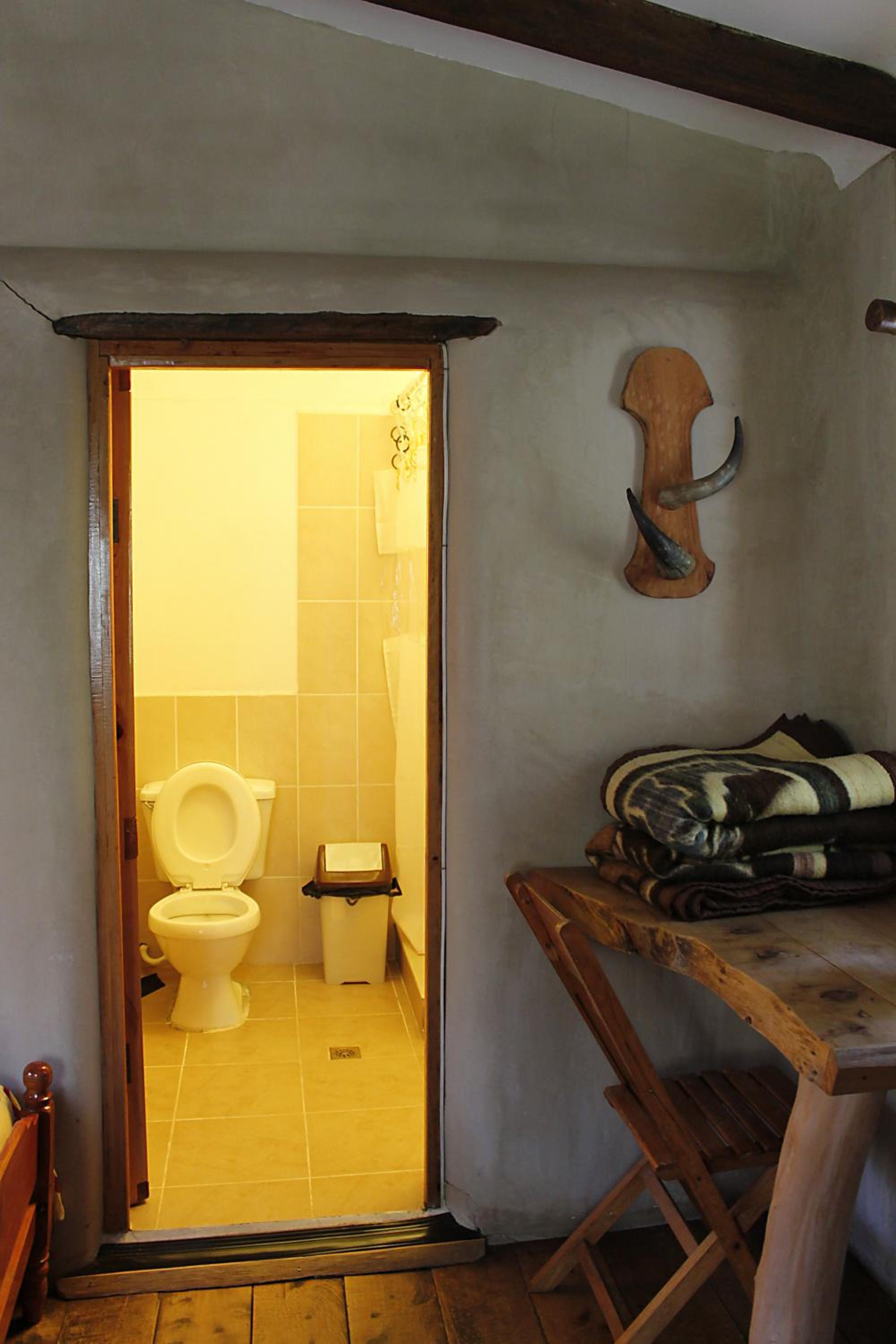 Altai Oasis Lodge