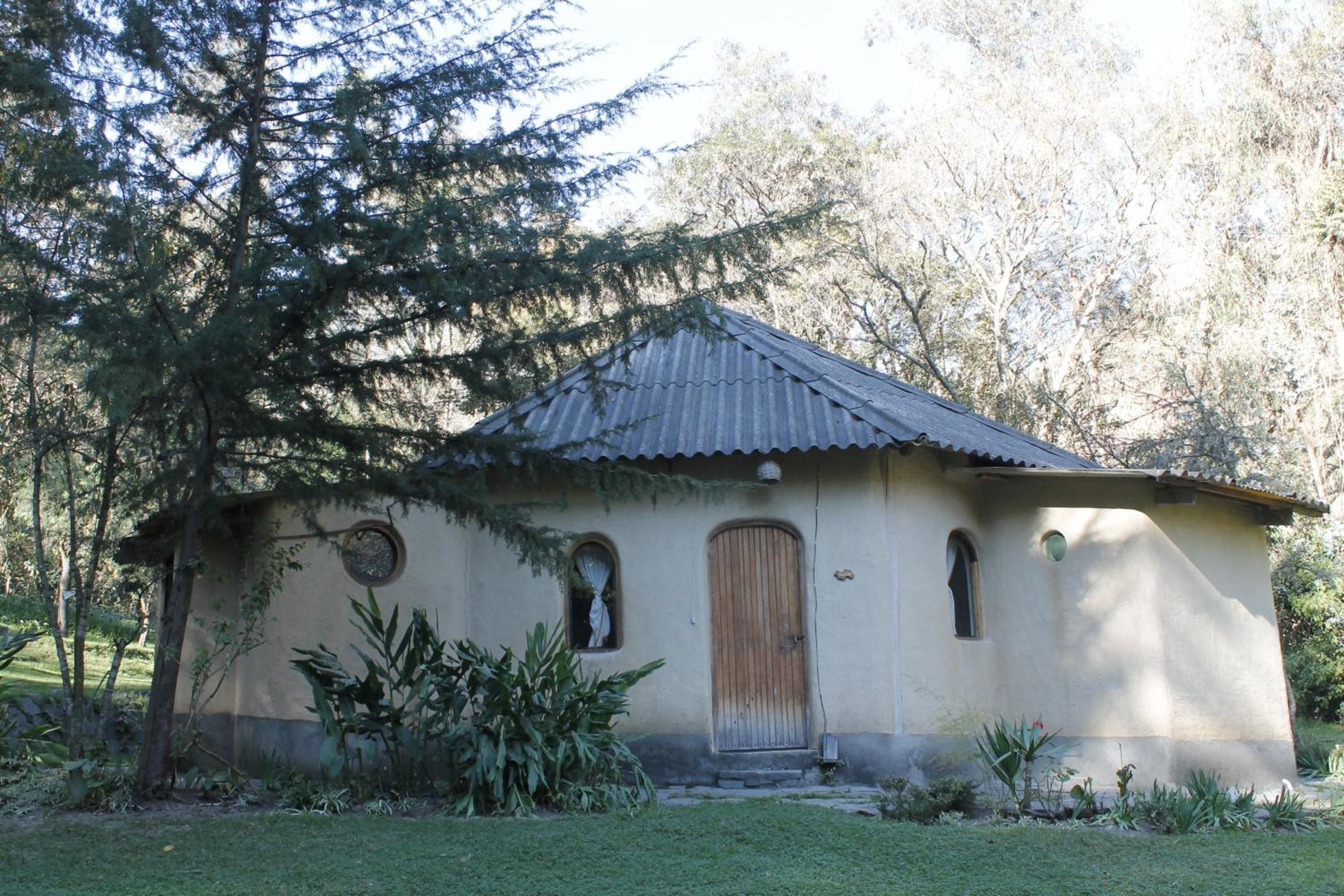 Altai Oasis Lodge