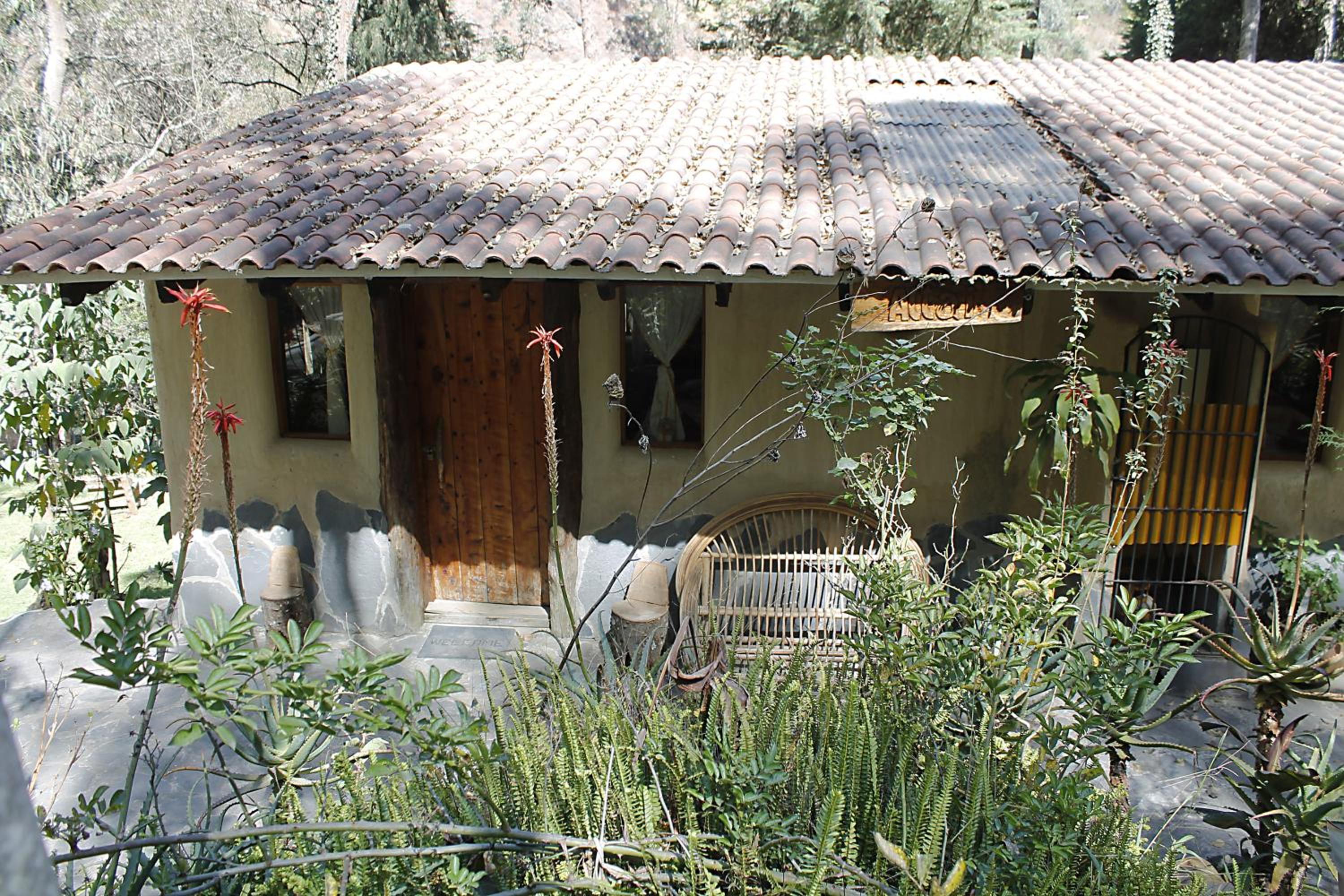Altai Oasis Lodge