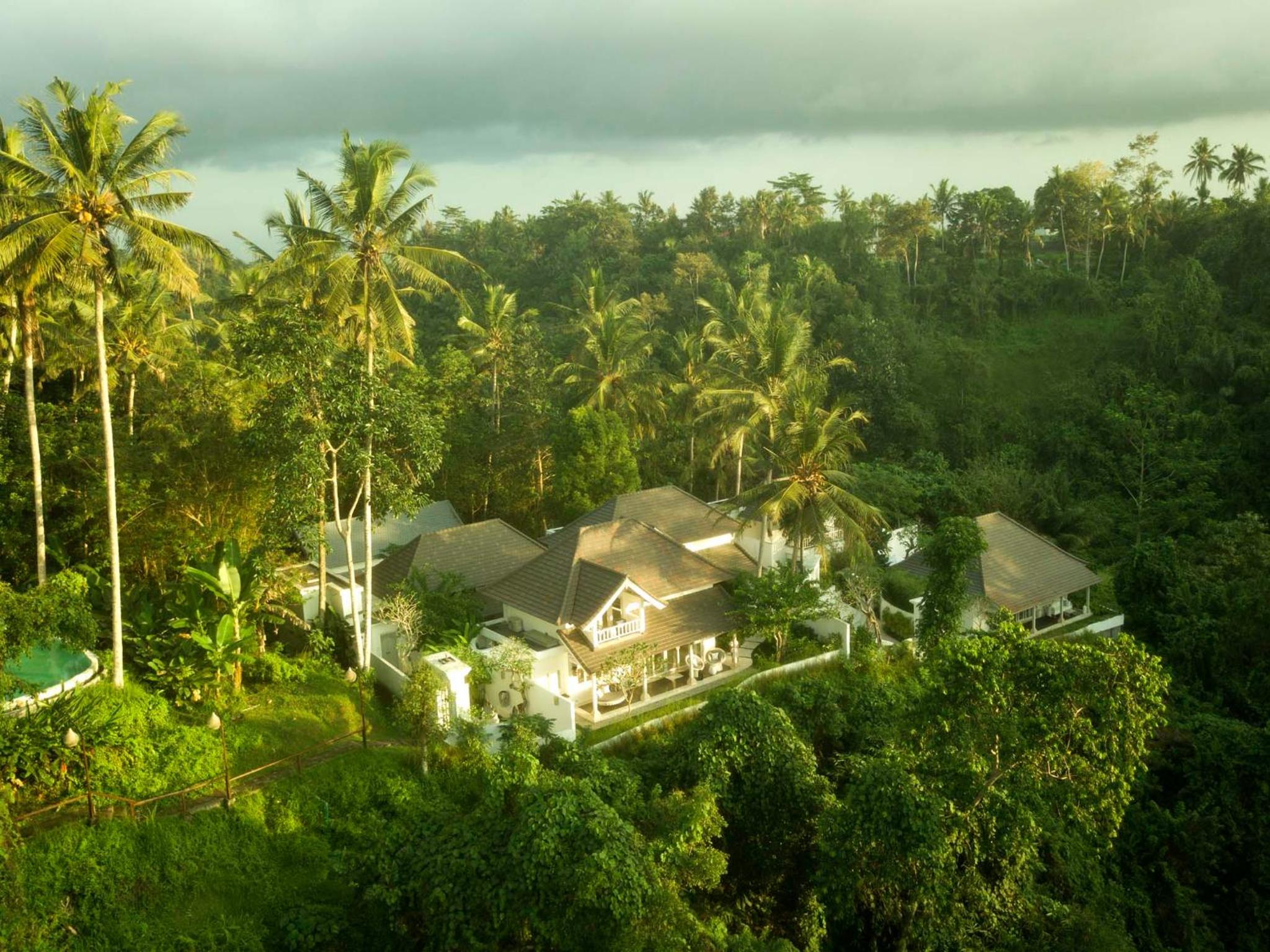 Cloud Nine Estate
