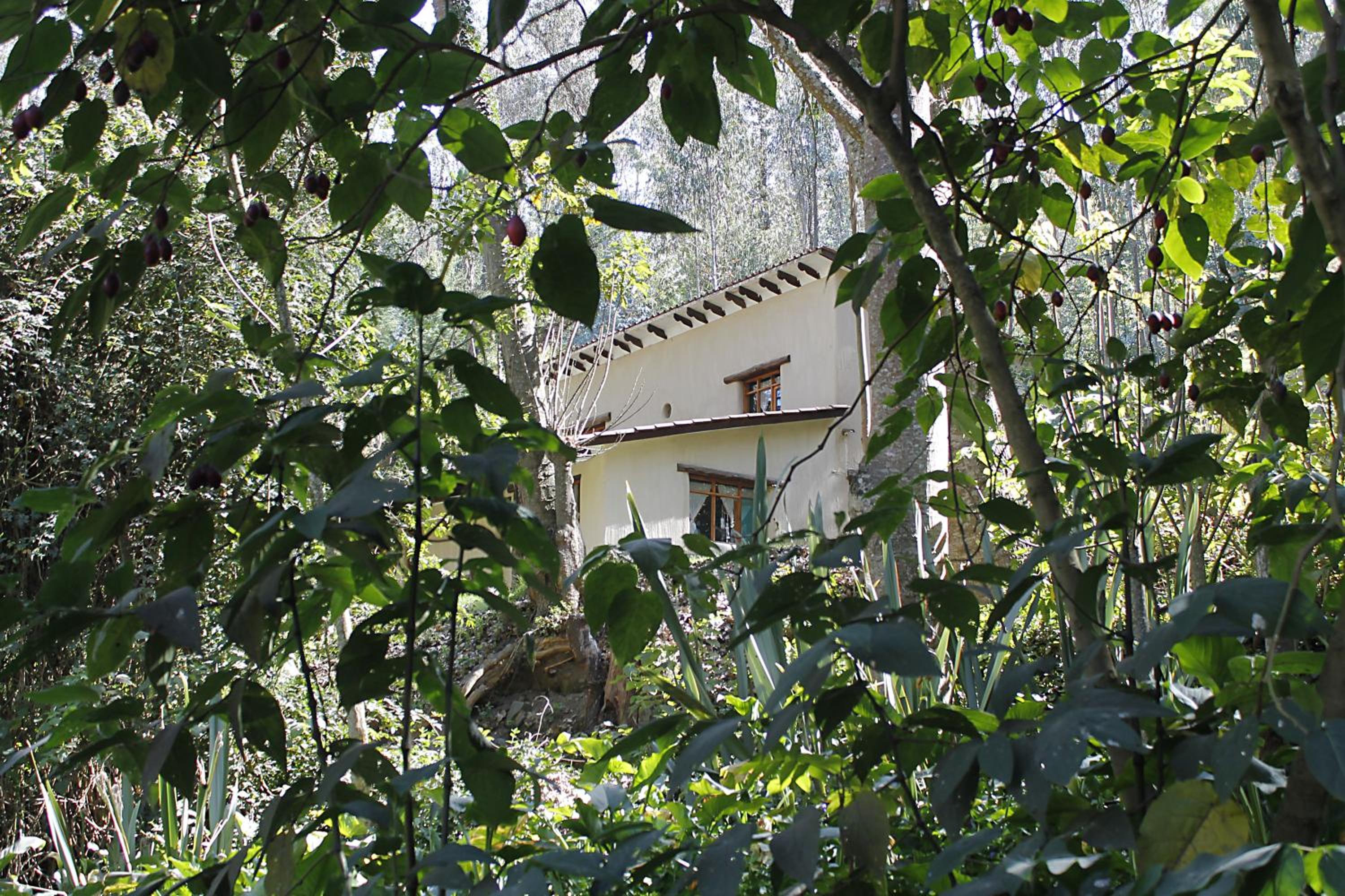 Altai Oasis Lodge