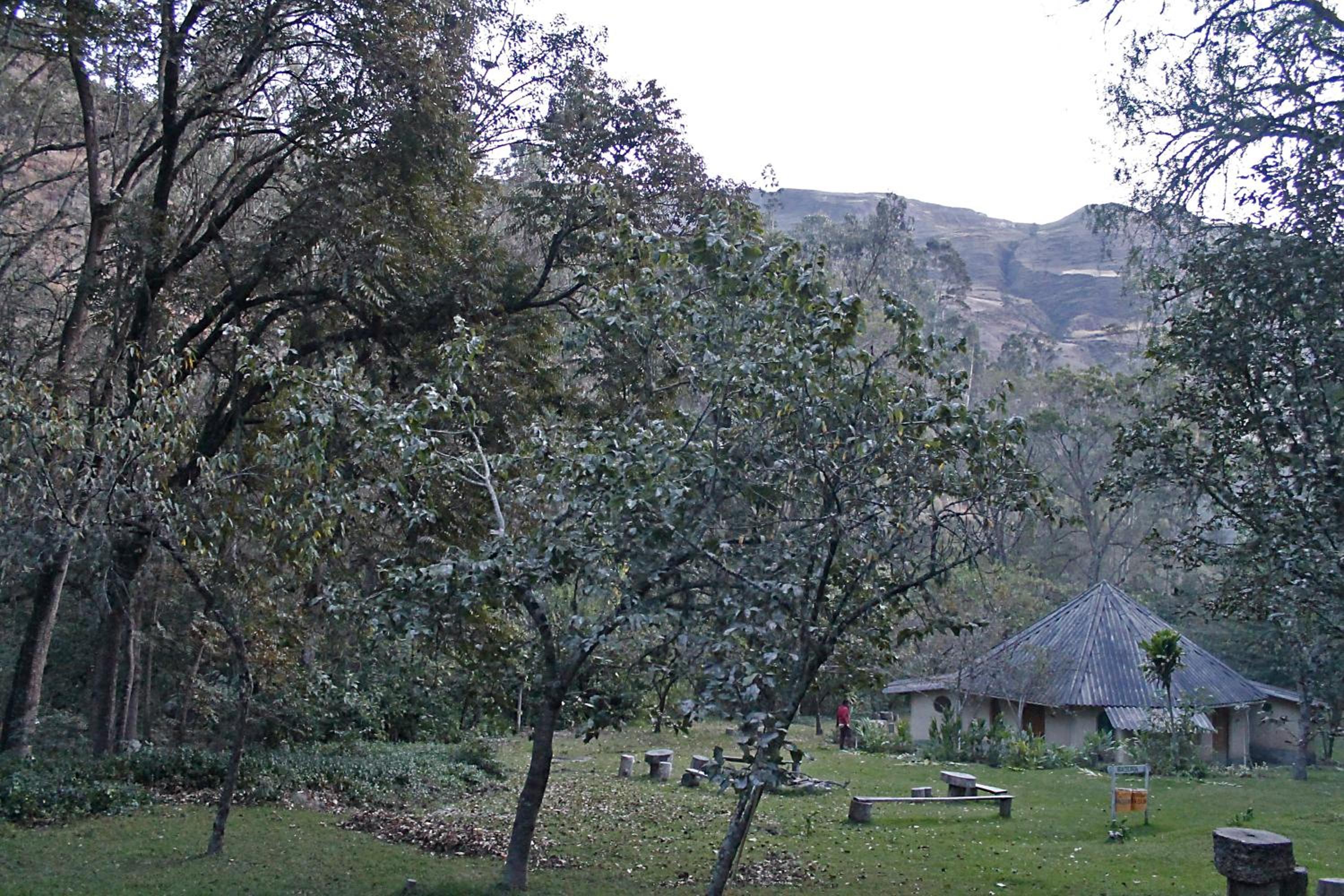 Altai Oasis Lodge