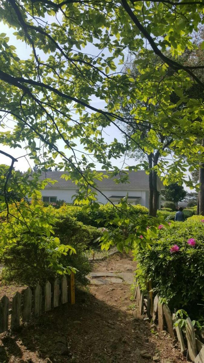 RnB Town Pension view 2
