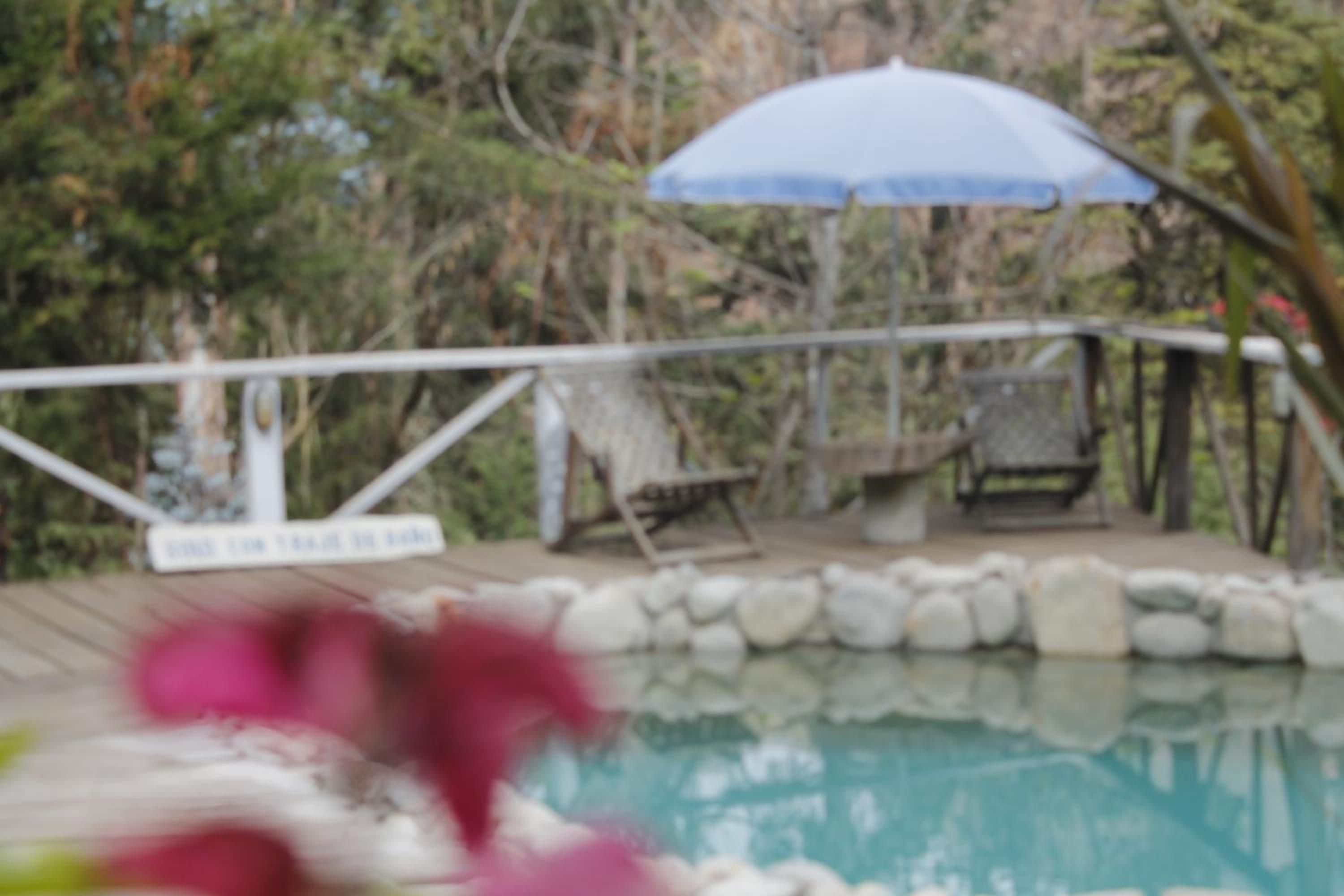 Altai Oasis Lodge