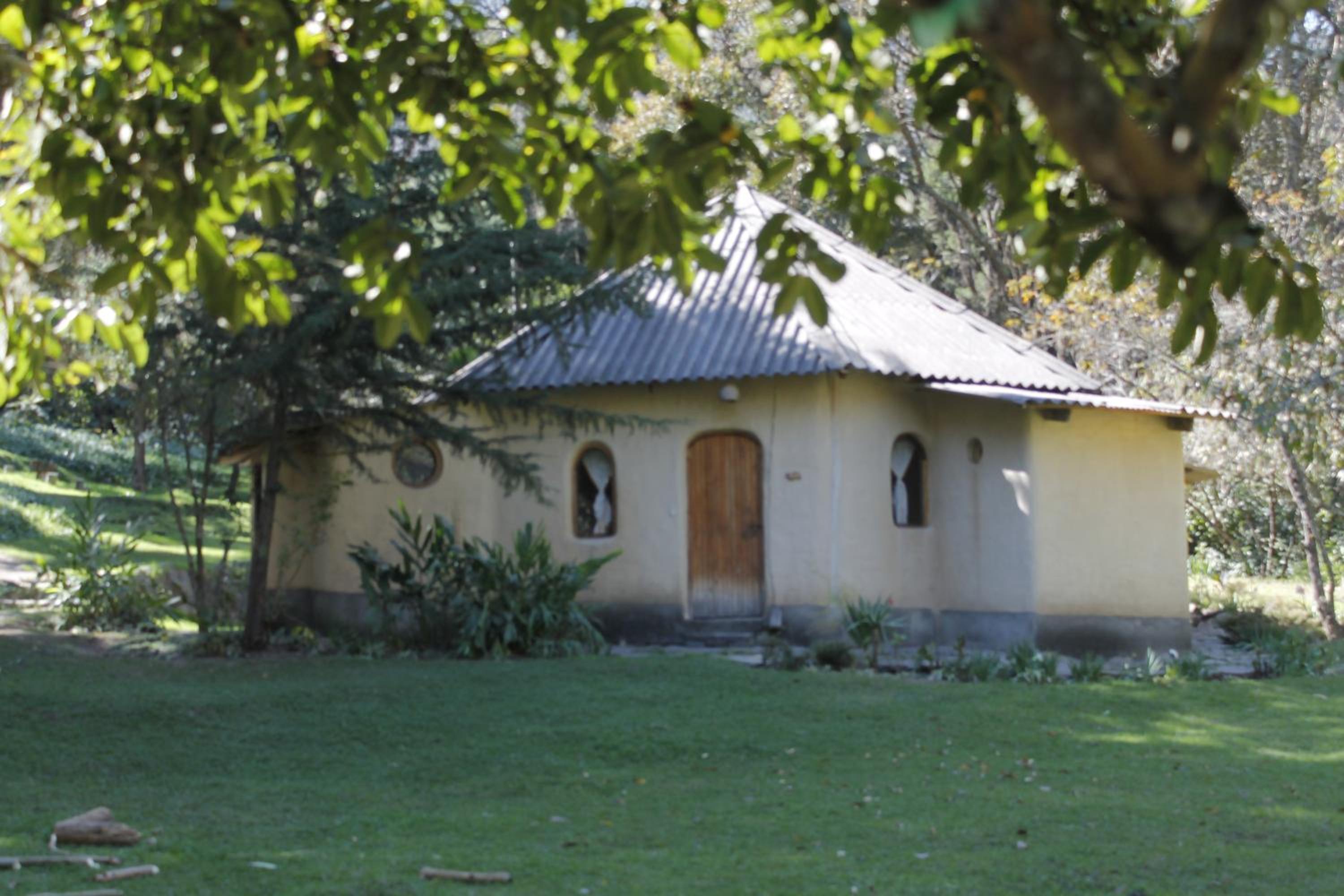 Altai Oasis Lodge