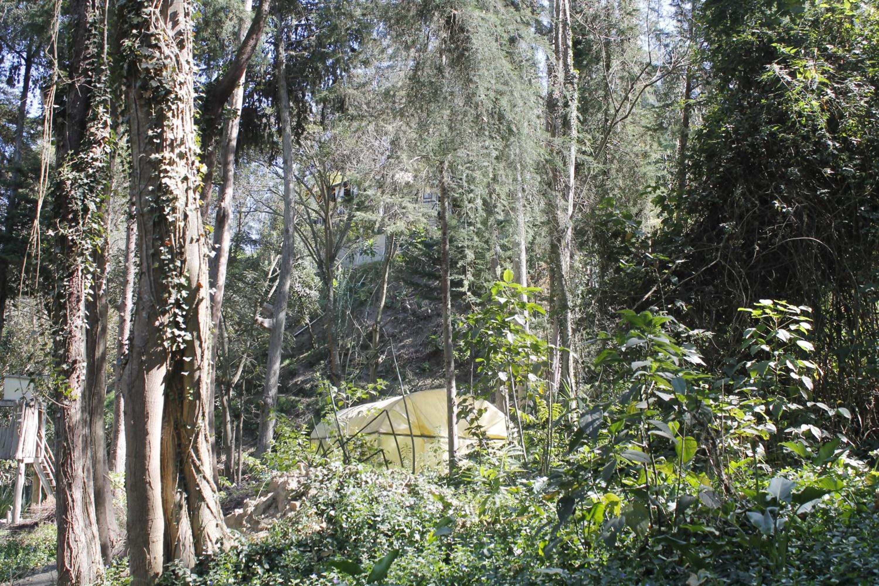 Altai Oasis Lodge