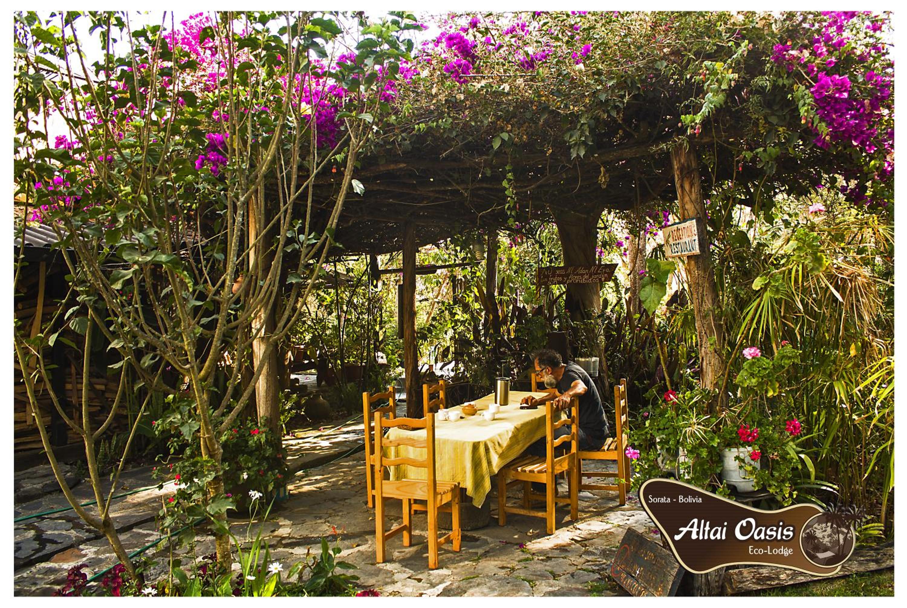 Altai Oasis Lodge