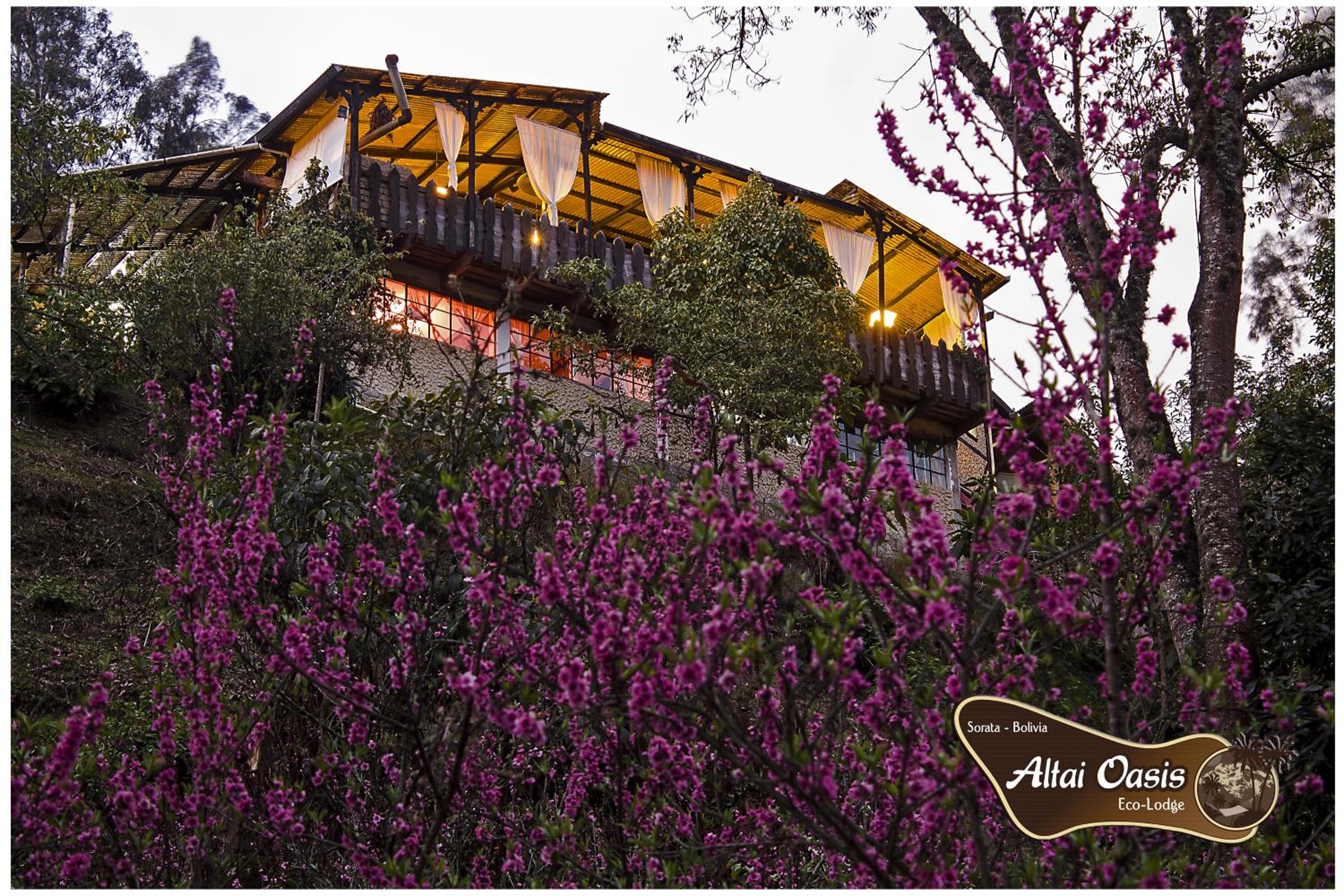 Altai Oasis Lodge