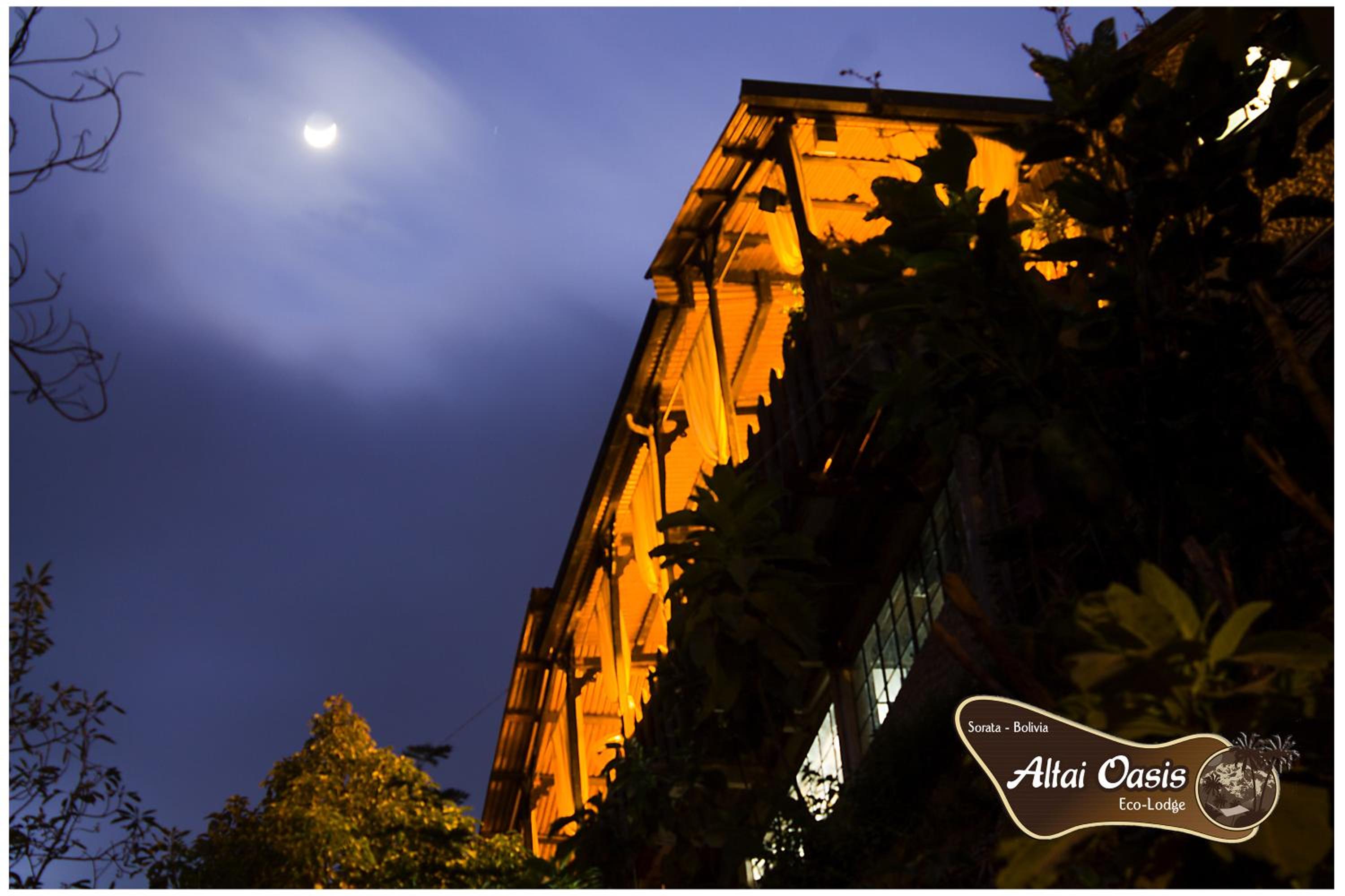 Altai Oasis Lodge