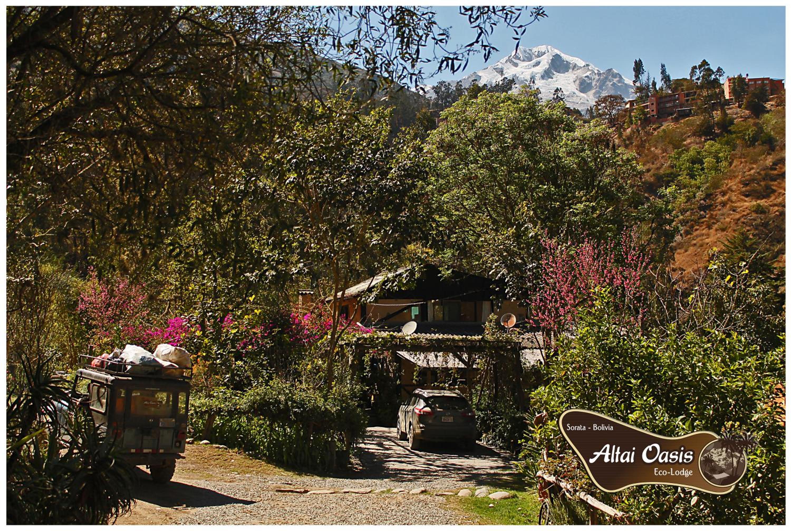 Altai Oasis Lodge