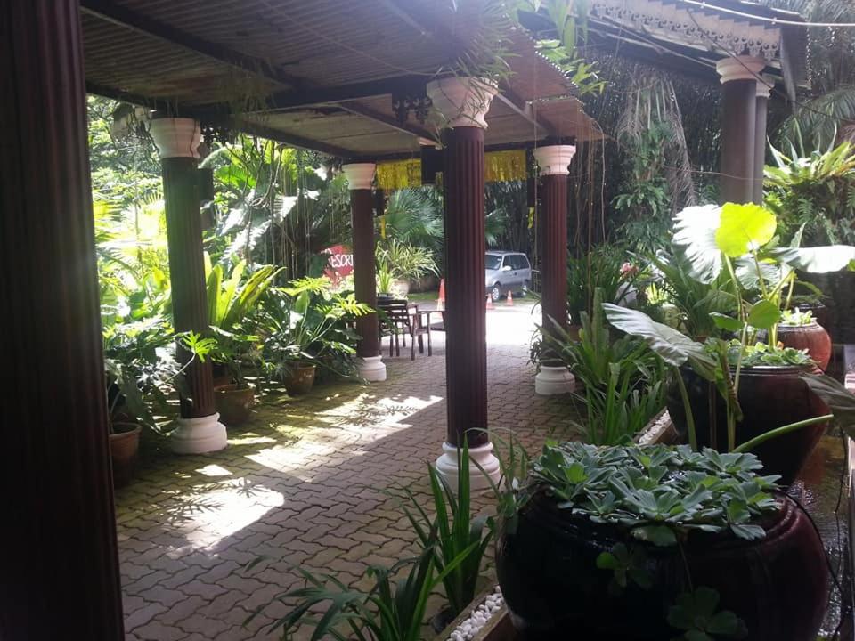 Photo 19