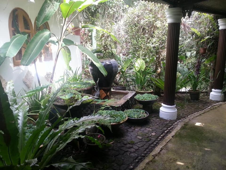 Photo 21